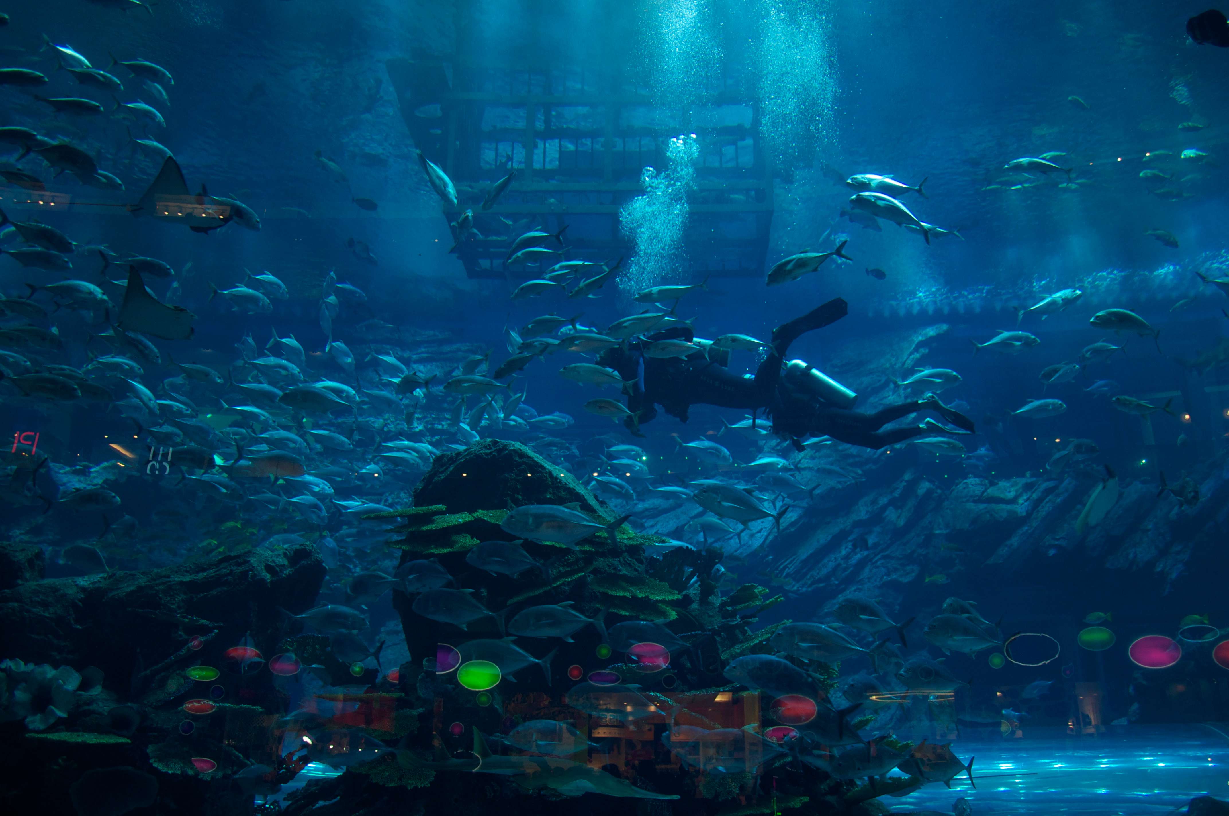 Boat Rides Enhance the Aquarium Experience at Dubai Mall