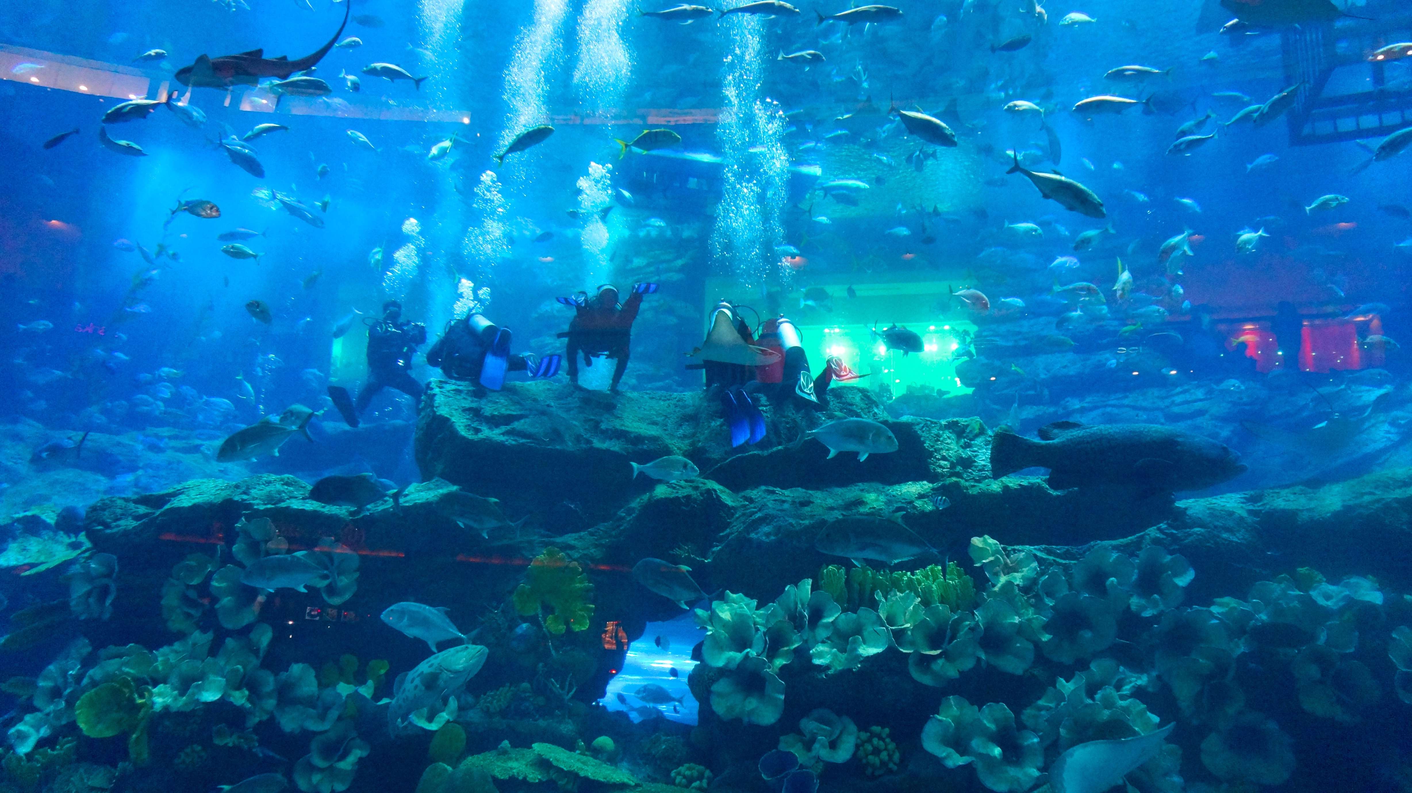 Behind-the-Scenes Tours Provide Insight into Aquatic Creature Management