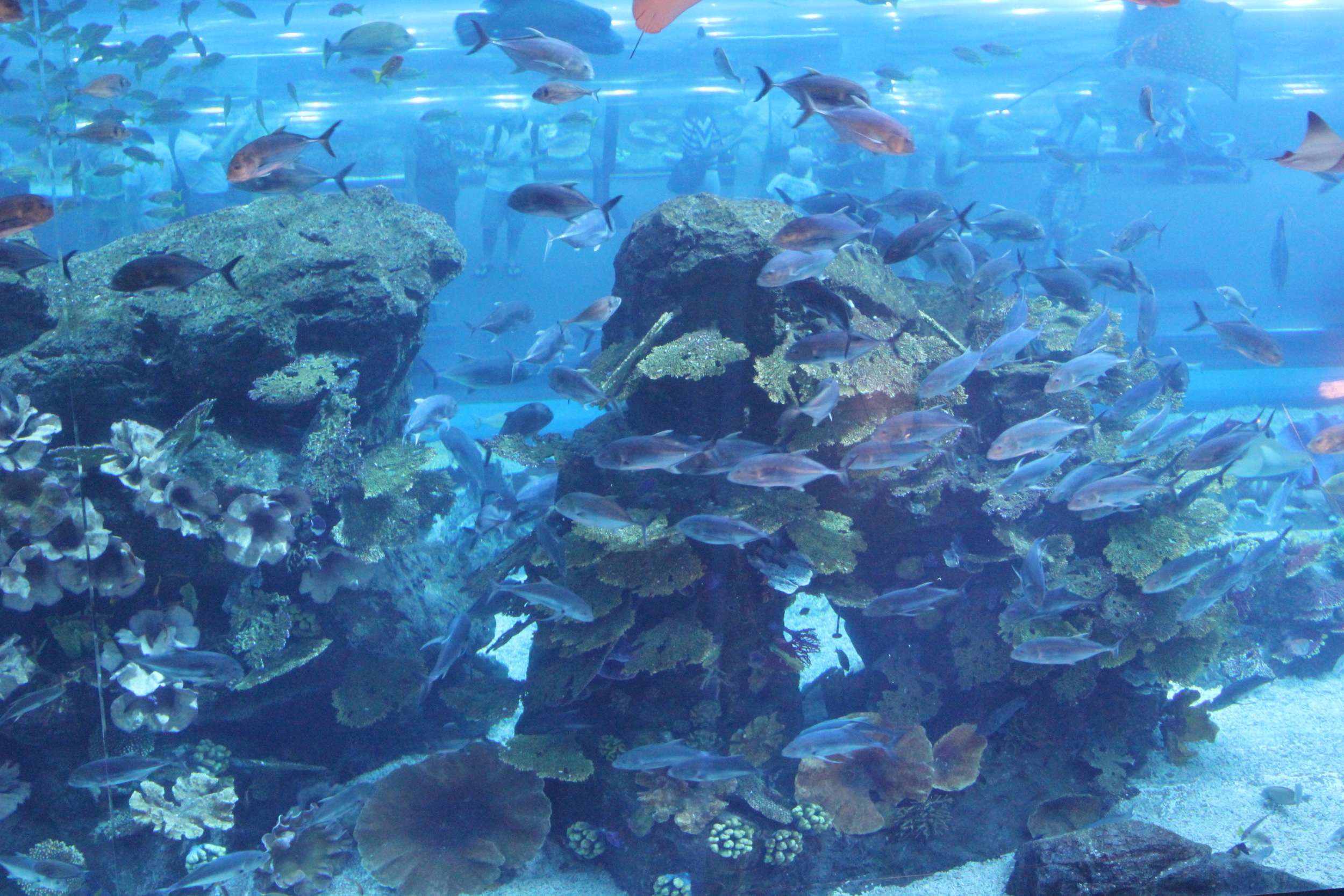 Special Ecological Zones Cater to Different Animal Species