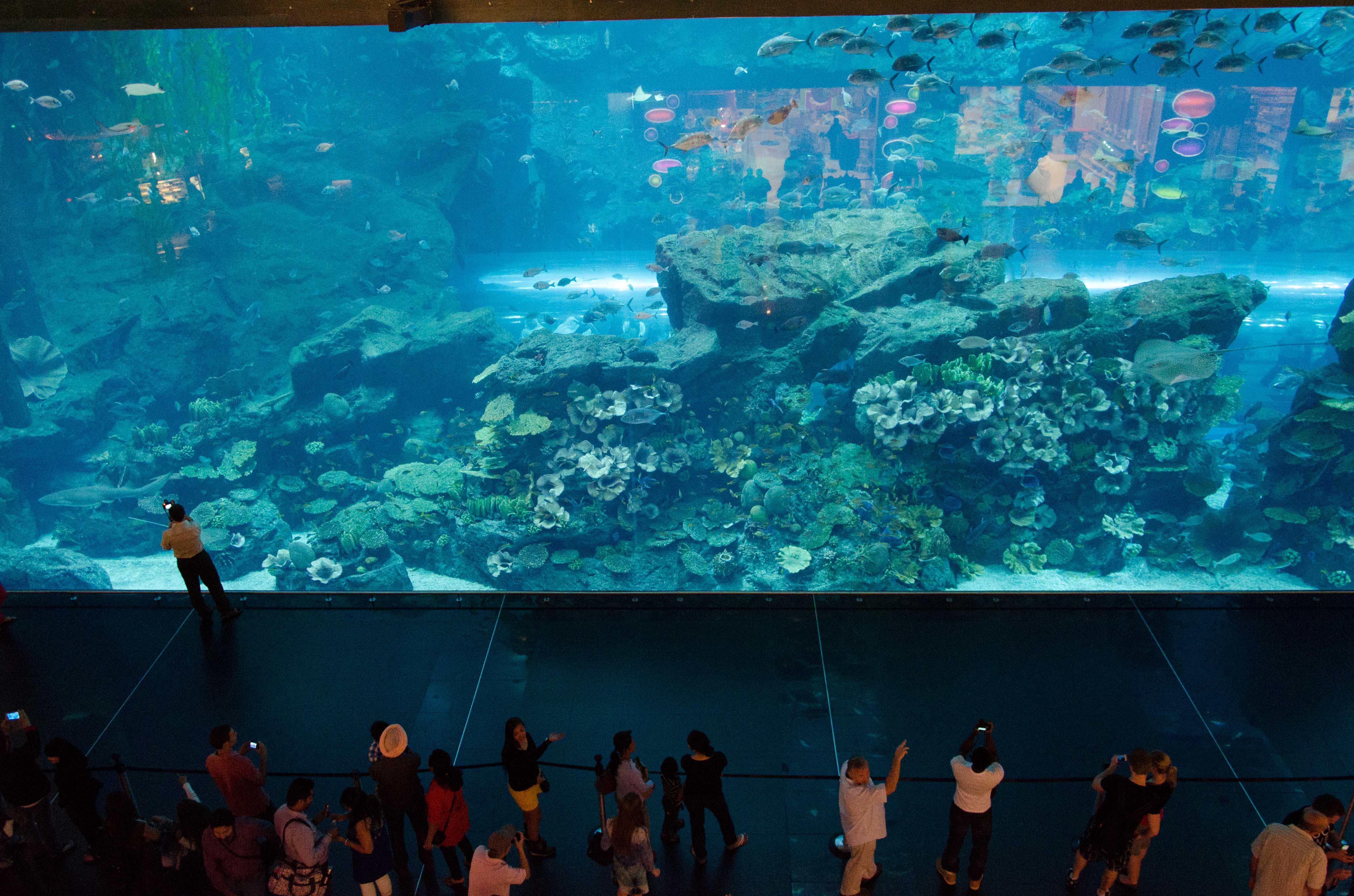 Educational Programmes for Kids: From Kindergarten to 12th Grade