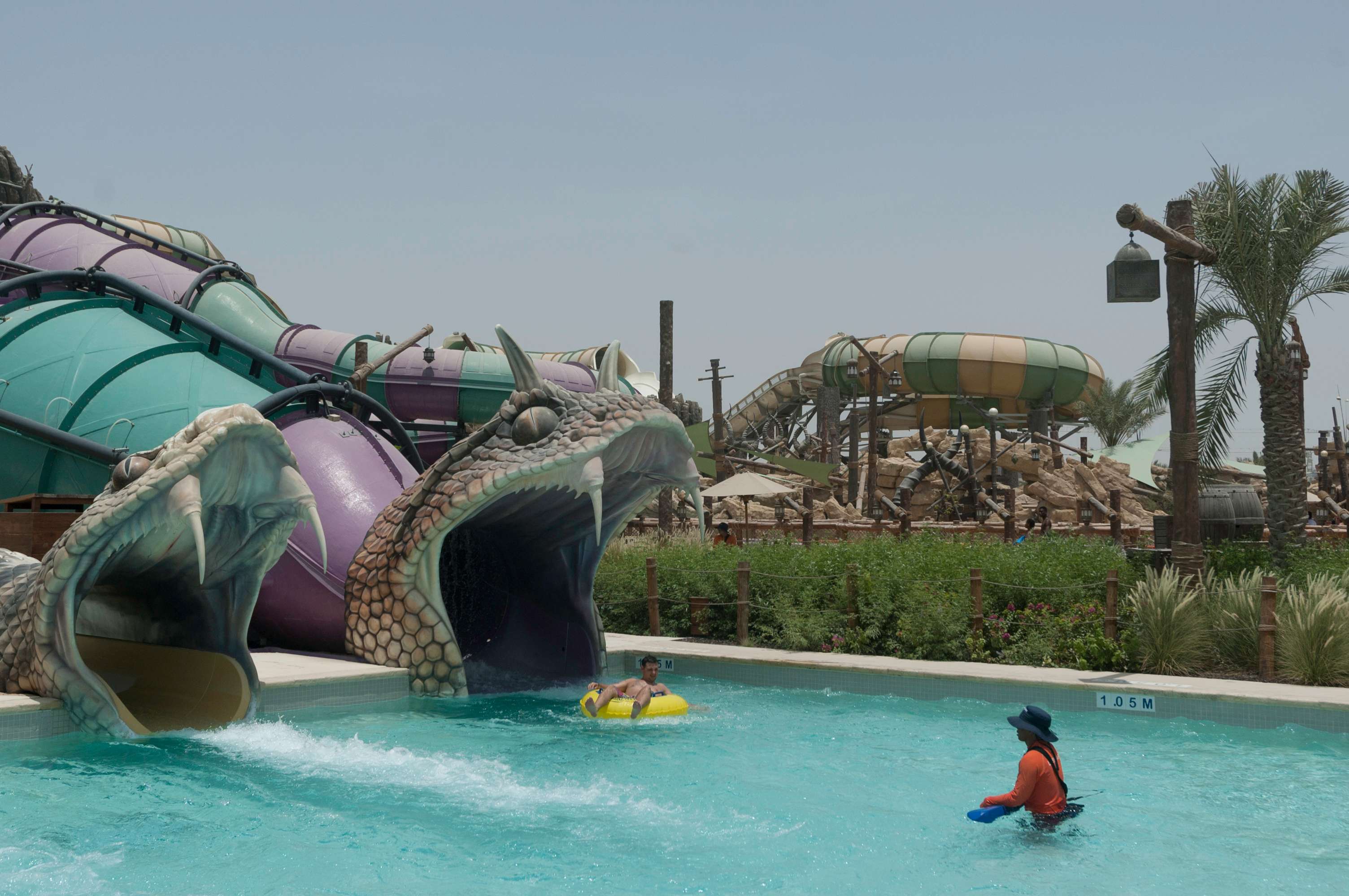 Dining and Amenities