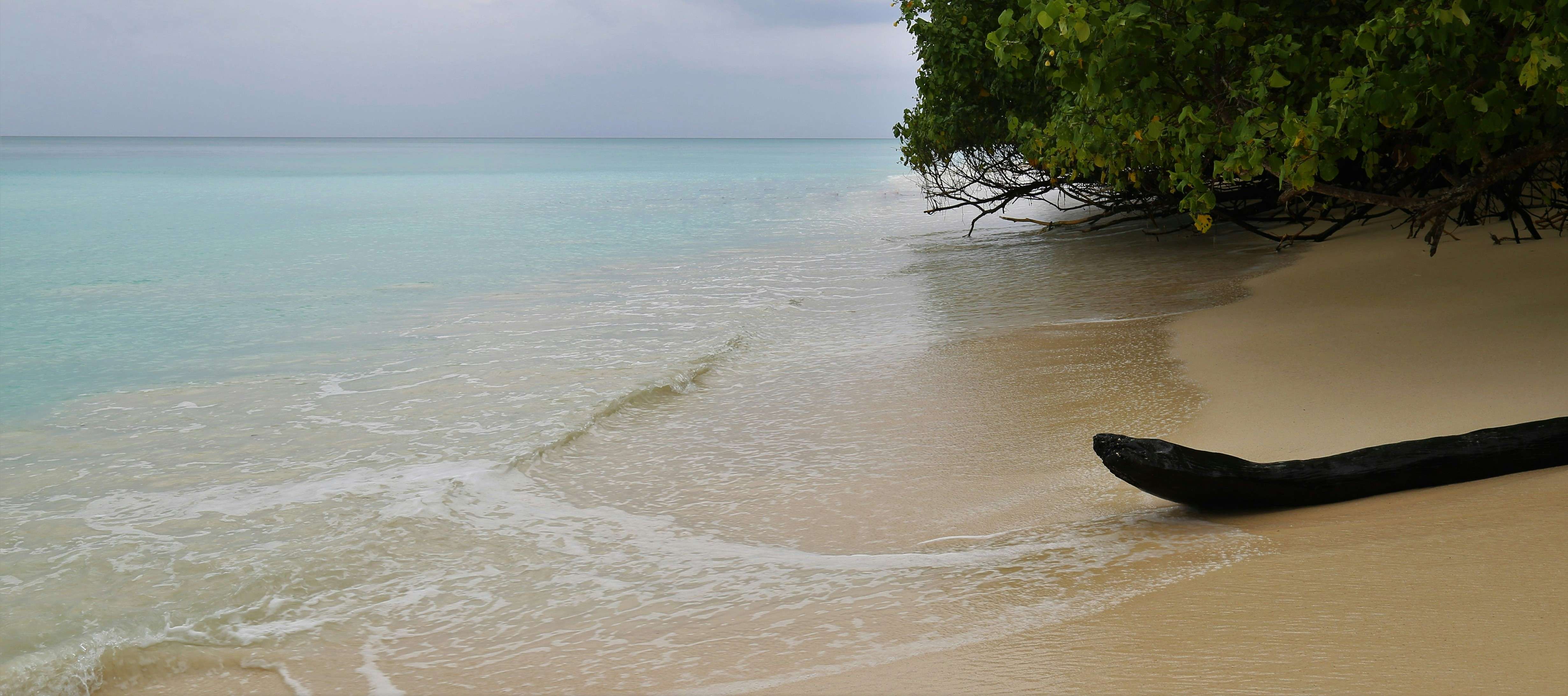 Places to Visit in Andaman in 3 Days For Your Perfect Itinerary