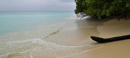 Places to Visit in Andaman in 3 Days For Your Perfect Itinerary