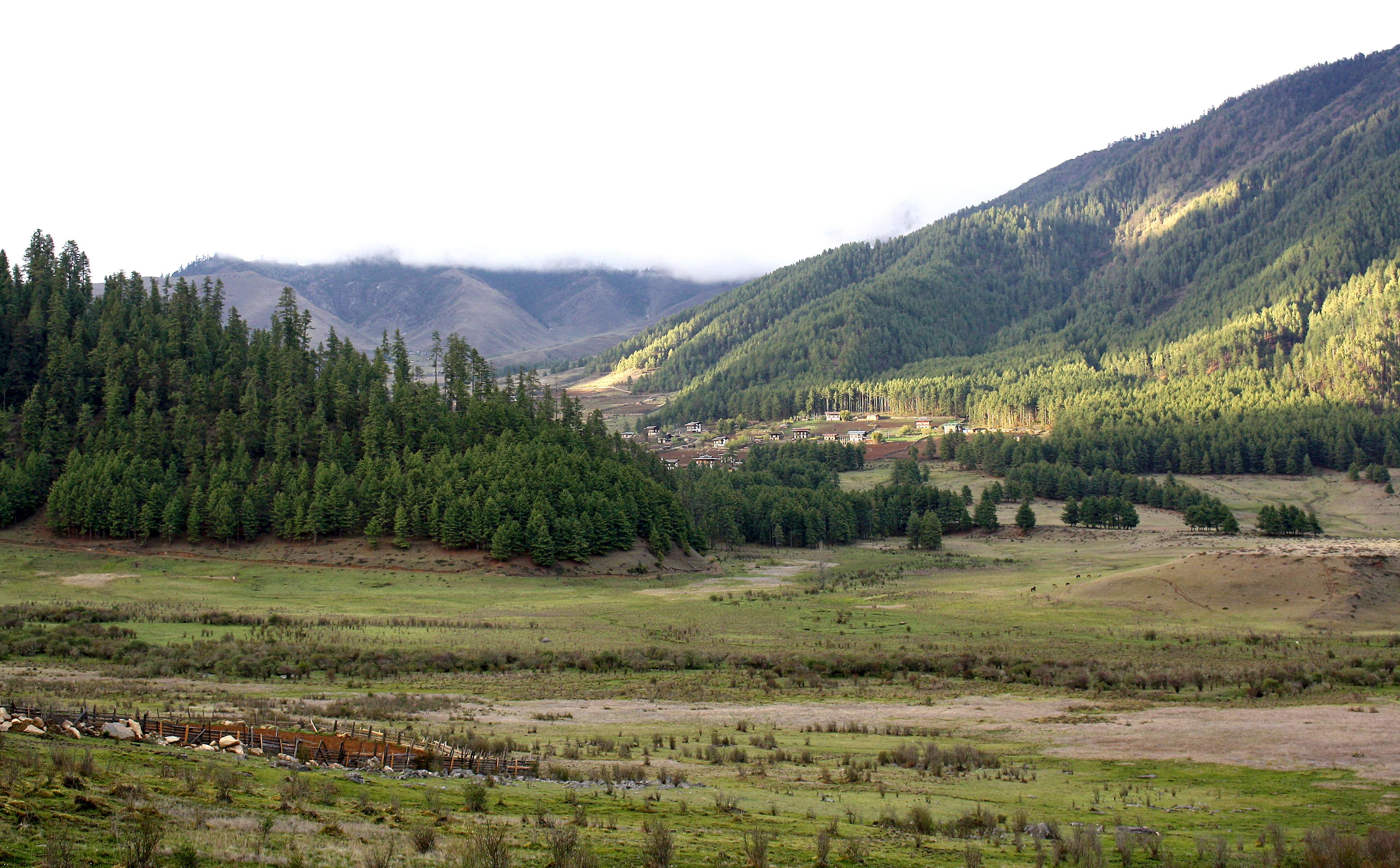 Phobjikha Valley