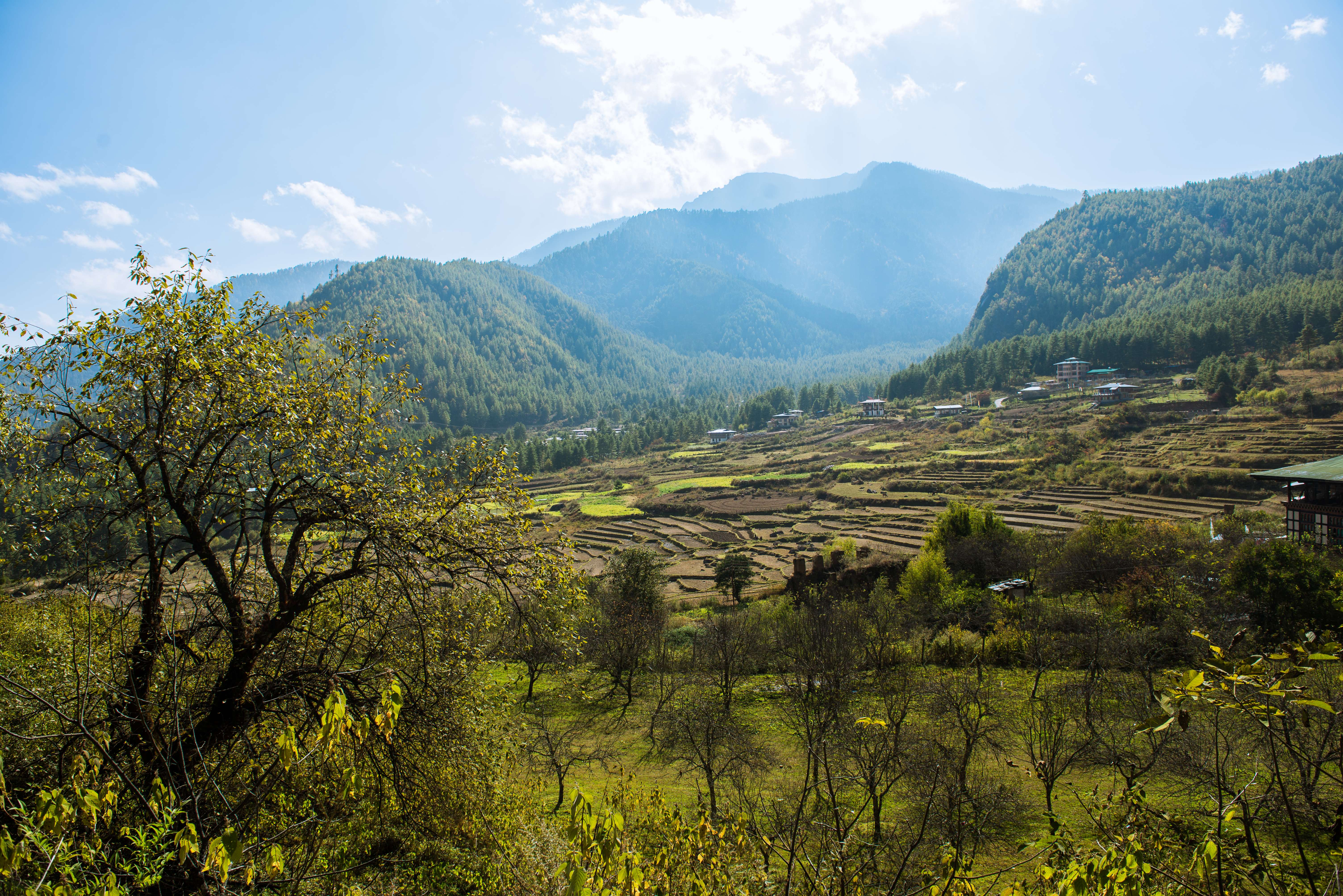 Bumthang Valley
