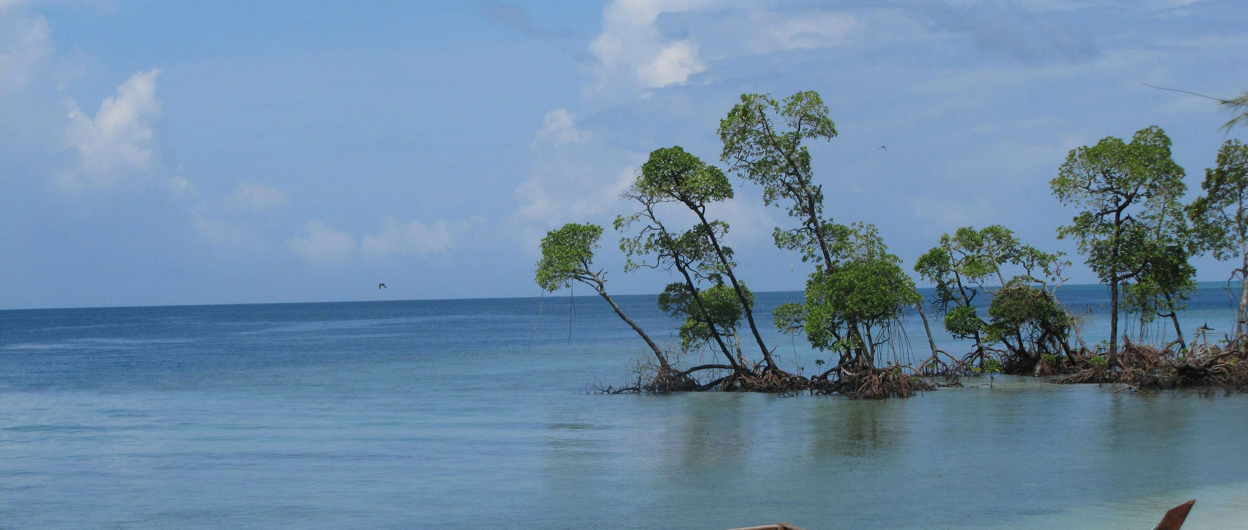 Places to Visit in Andaman in 7 Days: Best Itinerary for a Week