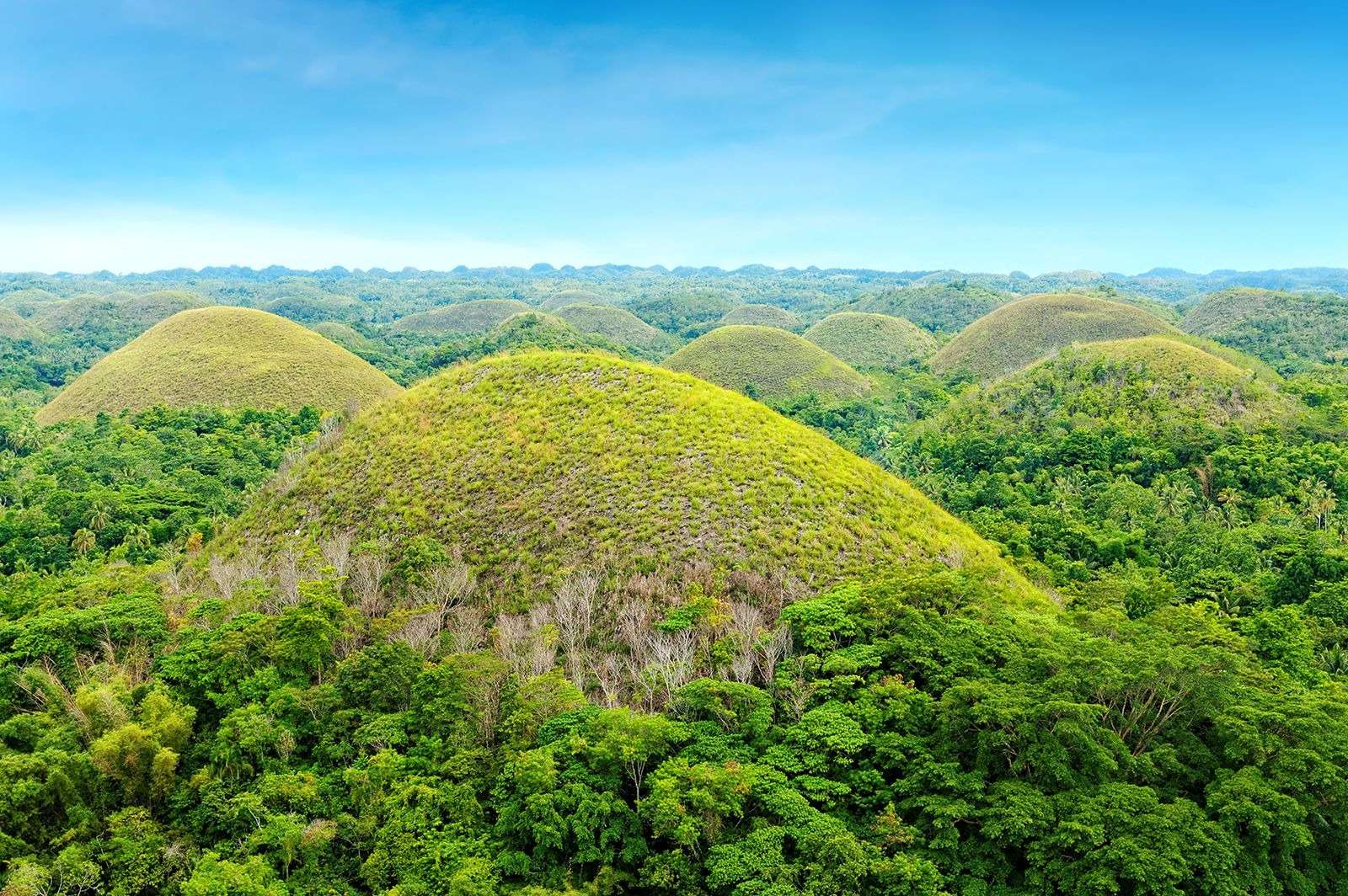 Go on a family trip to Bohol
