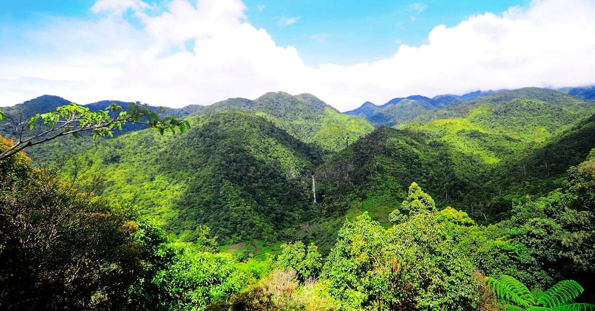 Visit Don Salvador Benedicto in Negros Occidental