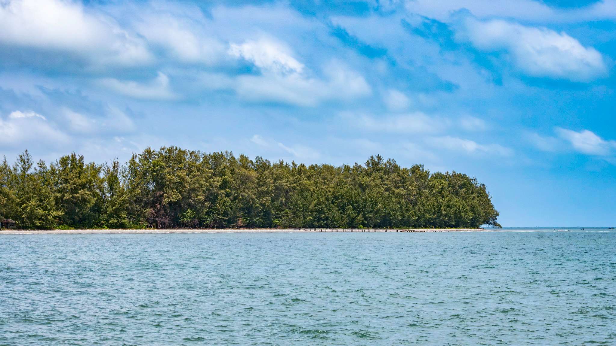 Trek Through National Parks