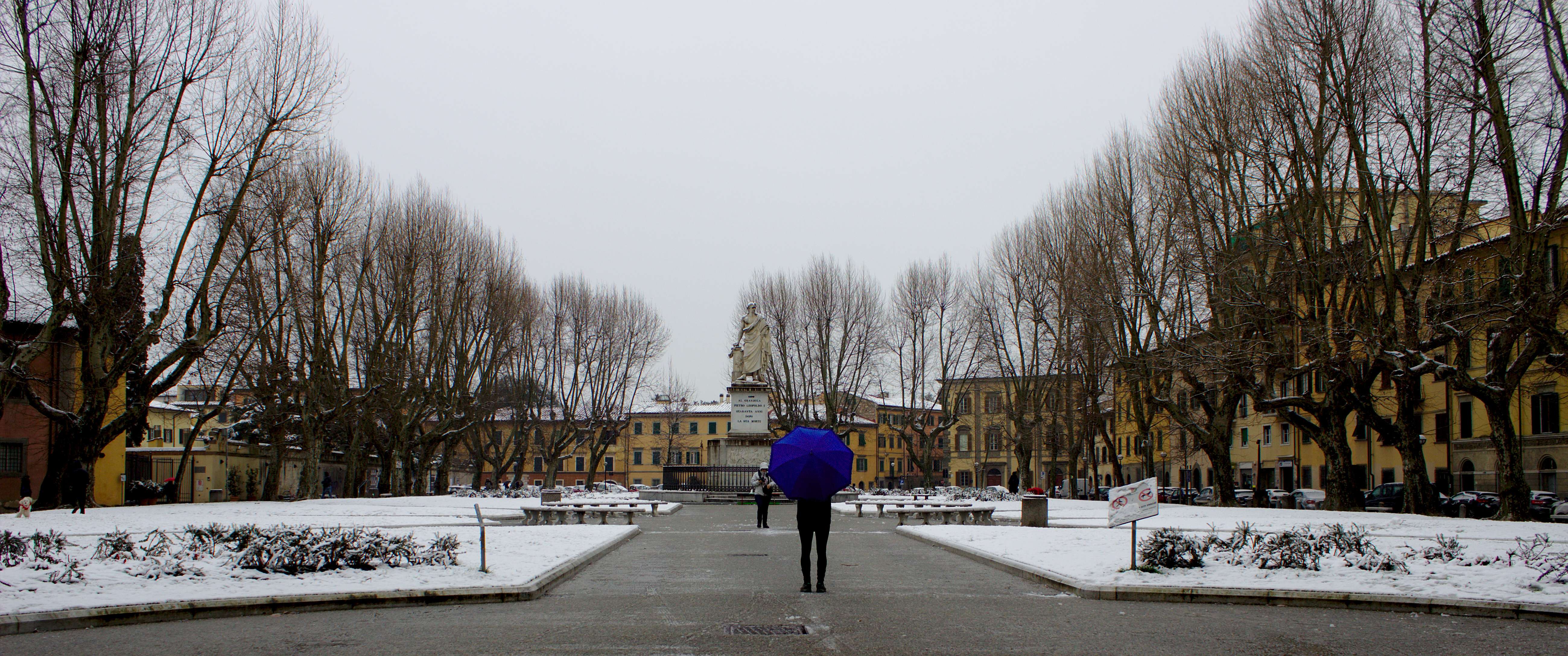 10 Best Things to Do in Pisa in December in {{year}}