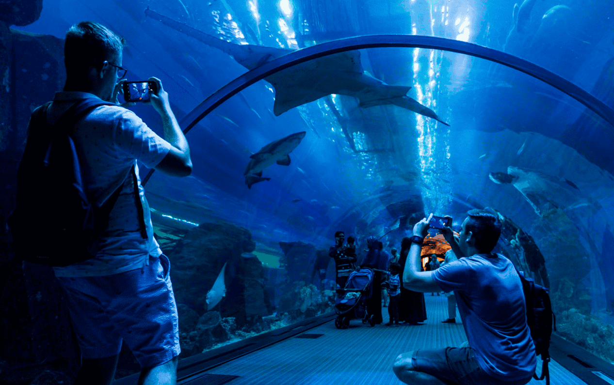 Dubai Aquarium & Underwater Zoo