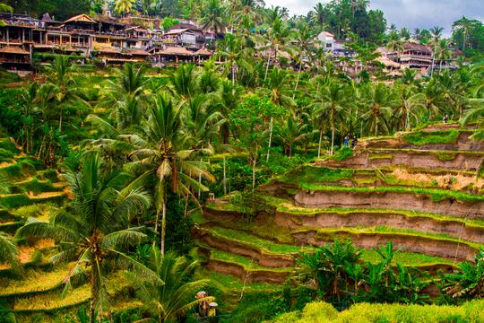 15 Best Bali & Sri Lanka Packages: Upto 40% Off - Exclusive Deals