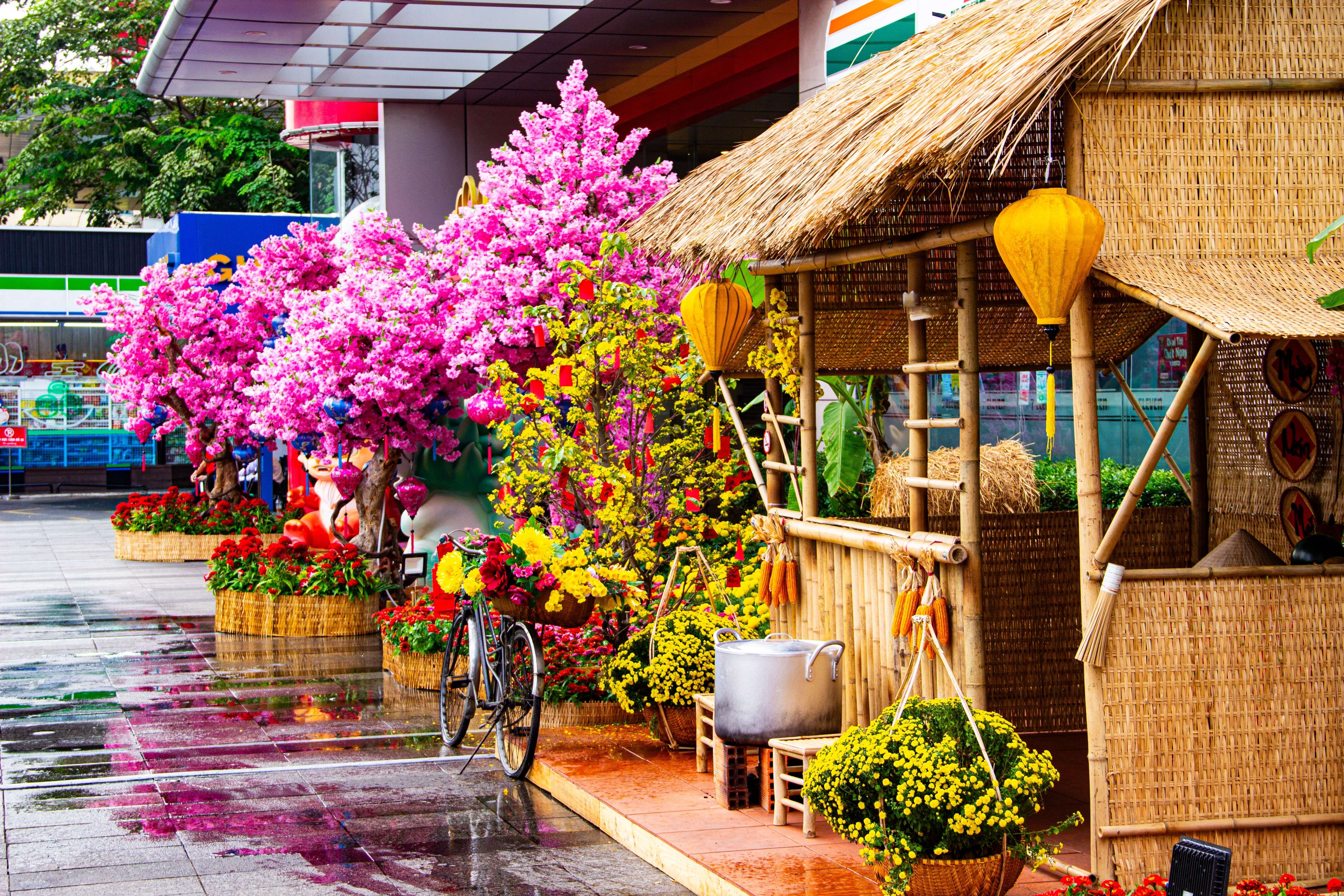 Experience Vibrant Festivals And Rich Traditions