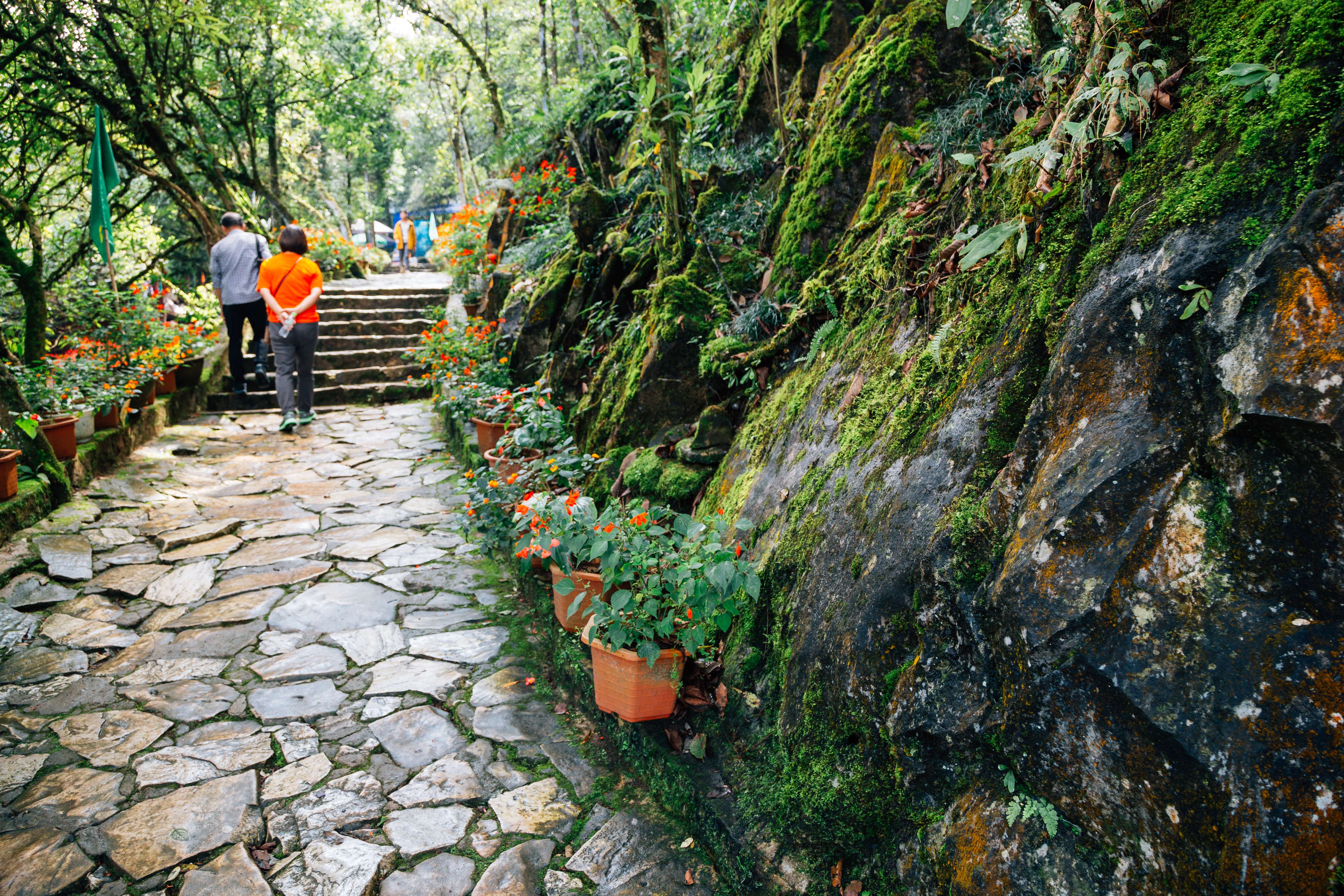 Enjoy Trekking Adventures in Scenic Sapa
