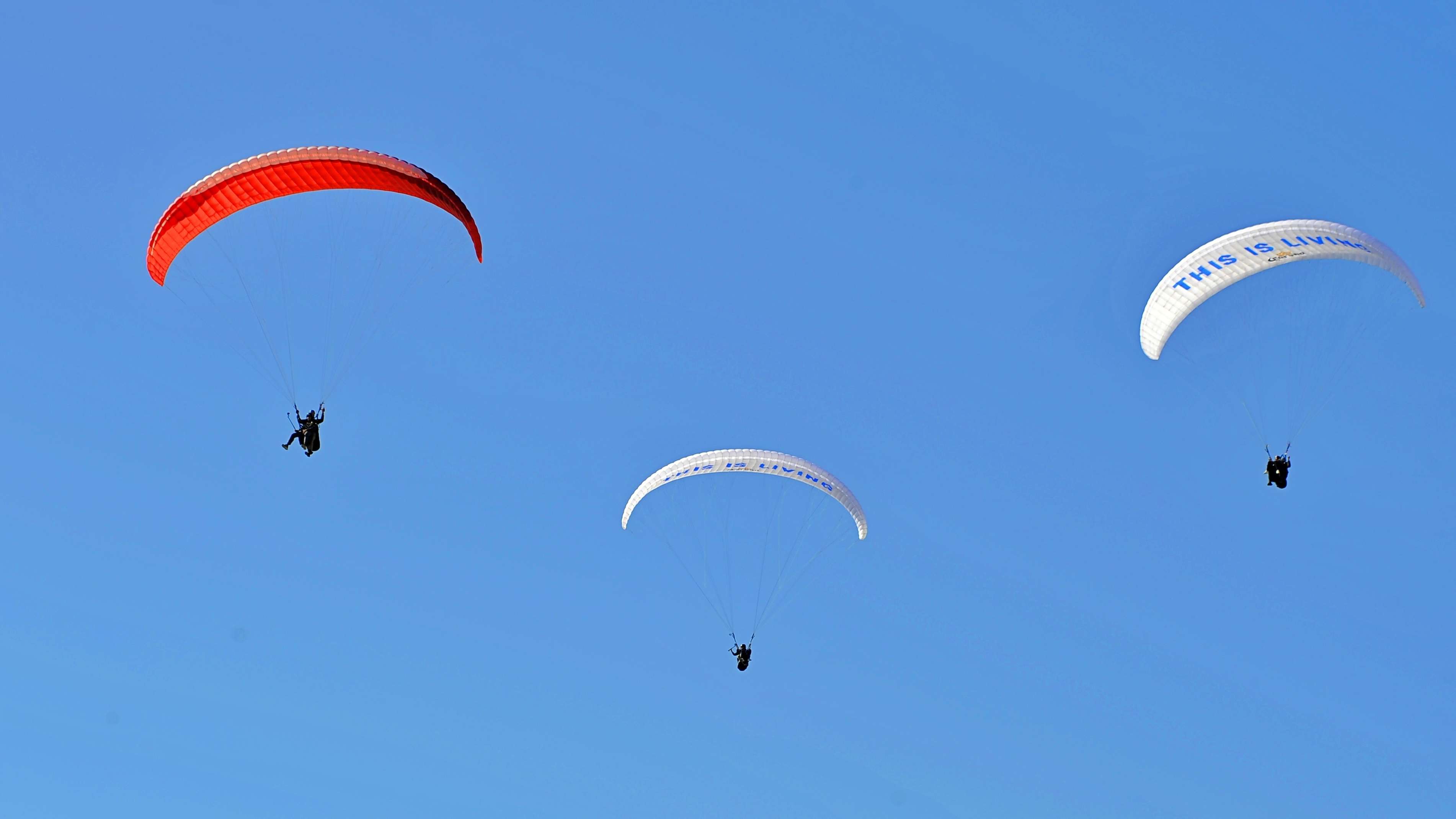 Try Paragliding