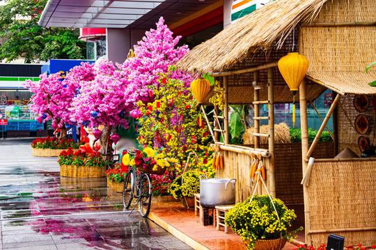 Vietnam in January: Weather, Where to Go and What to Do!