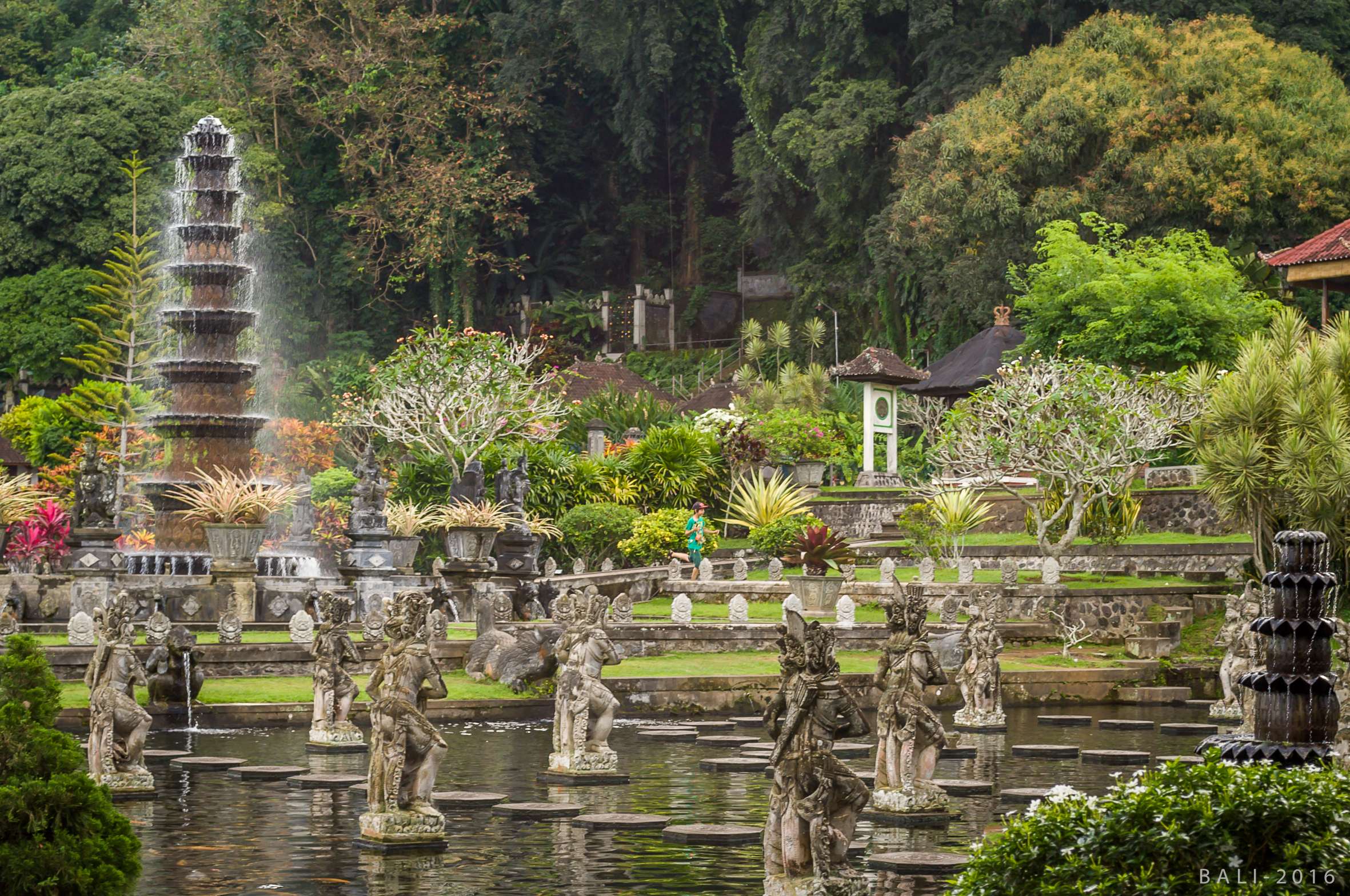 Best Time to Visit Bali