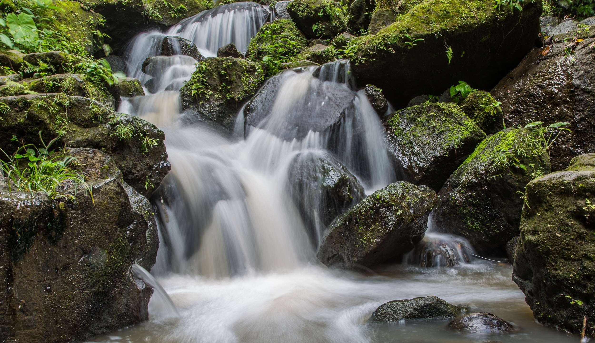 Day 2: Explore Ubud Village, Kintamani Volcano, and Visit Tegenungan Waterfall
