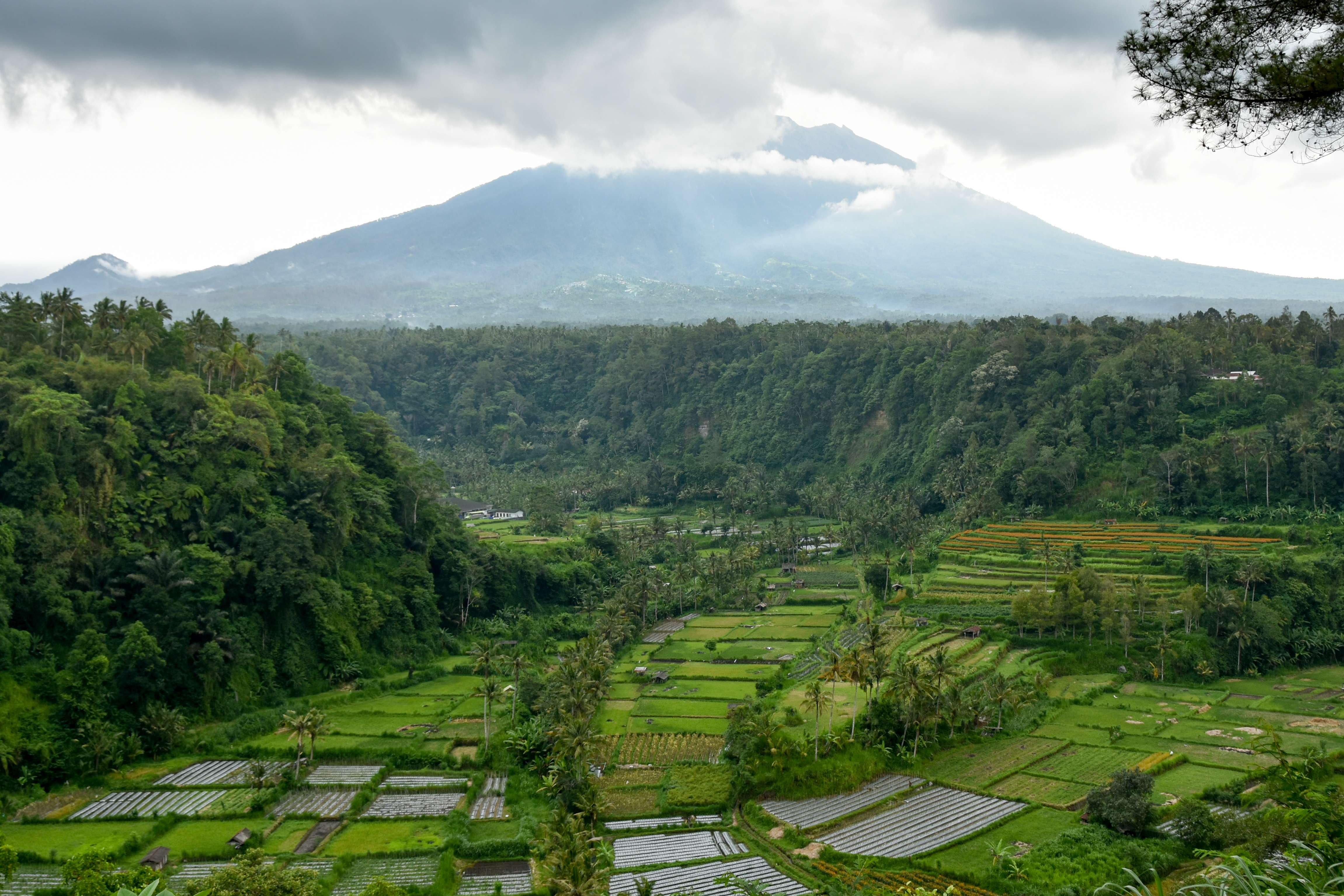 Visa Requirements for Bali Trip
