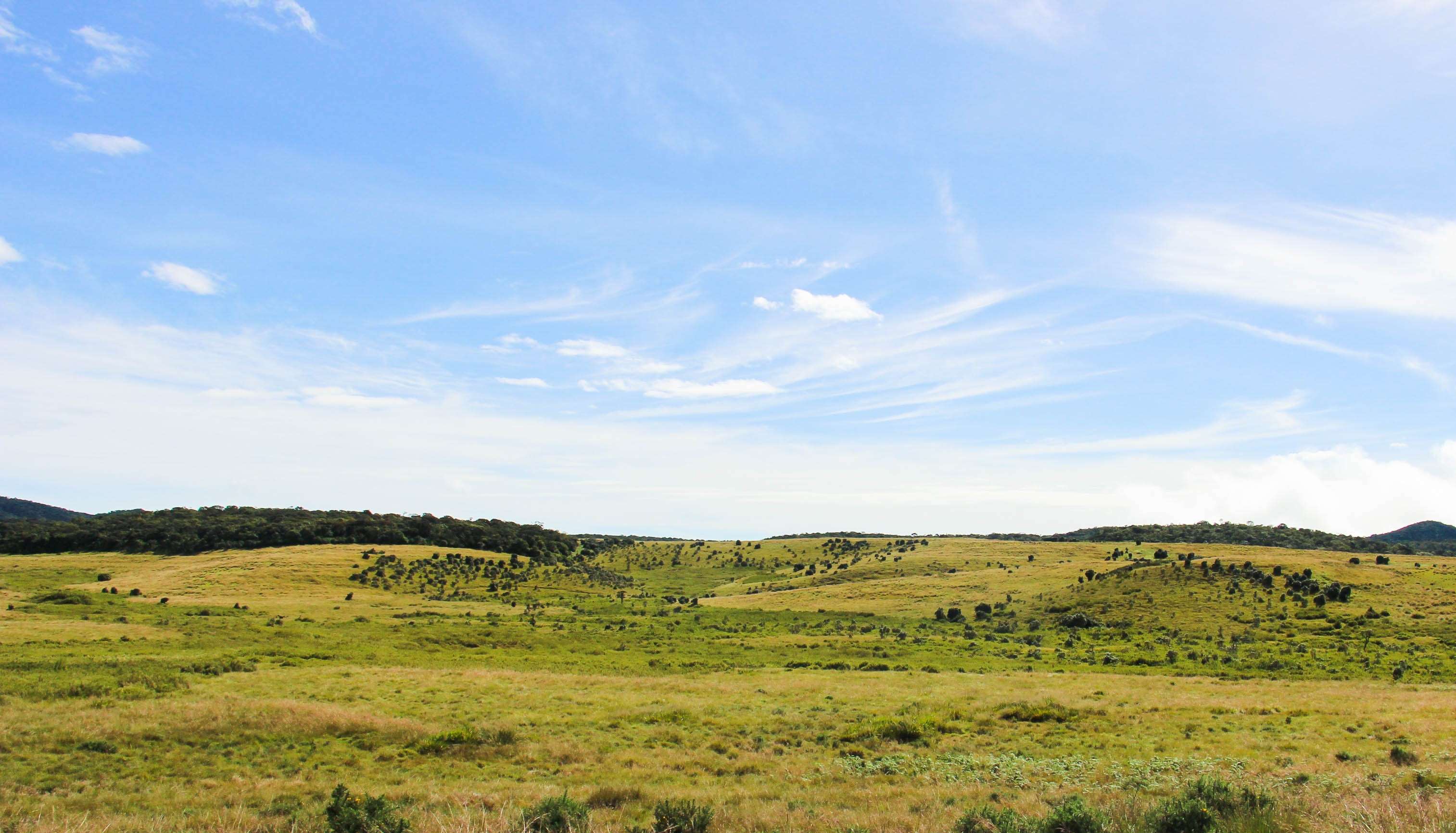 Horton Plains National Park
