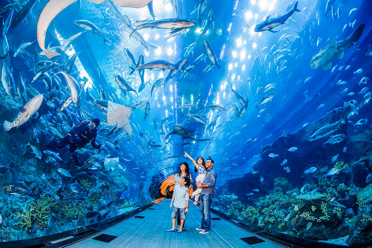 Day 4: A Day at Aquaventure Waterpark