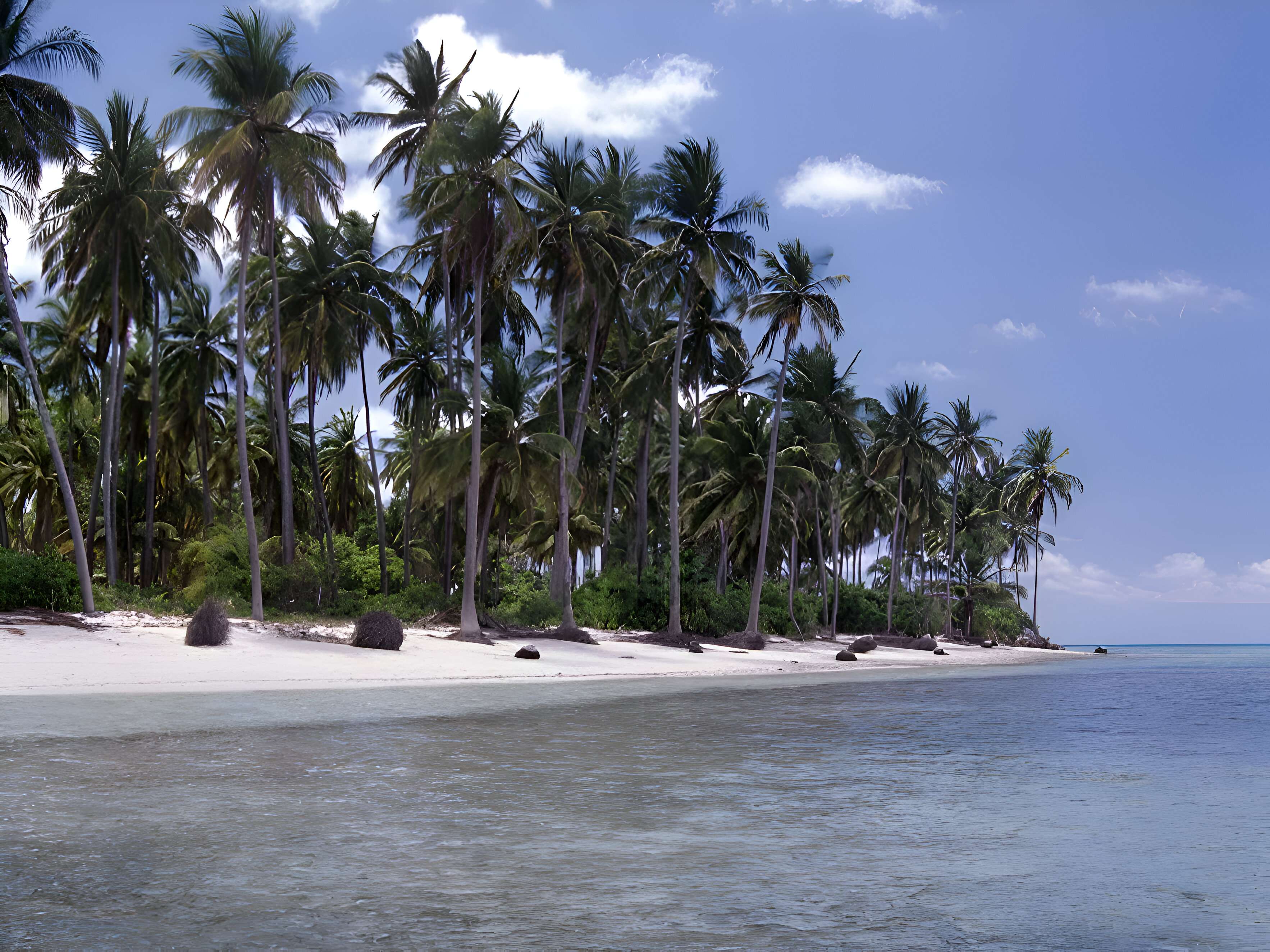 1740665845 pixelcut export (3)