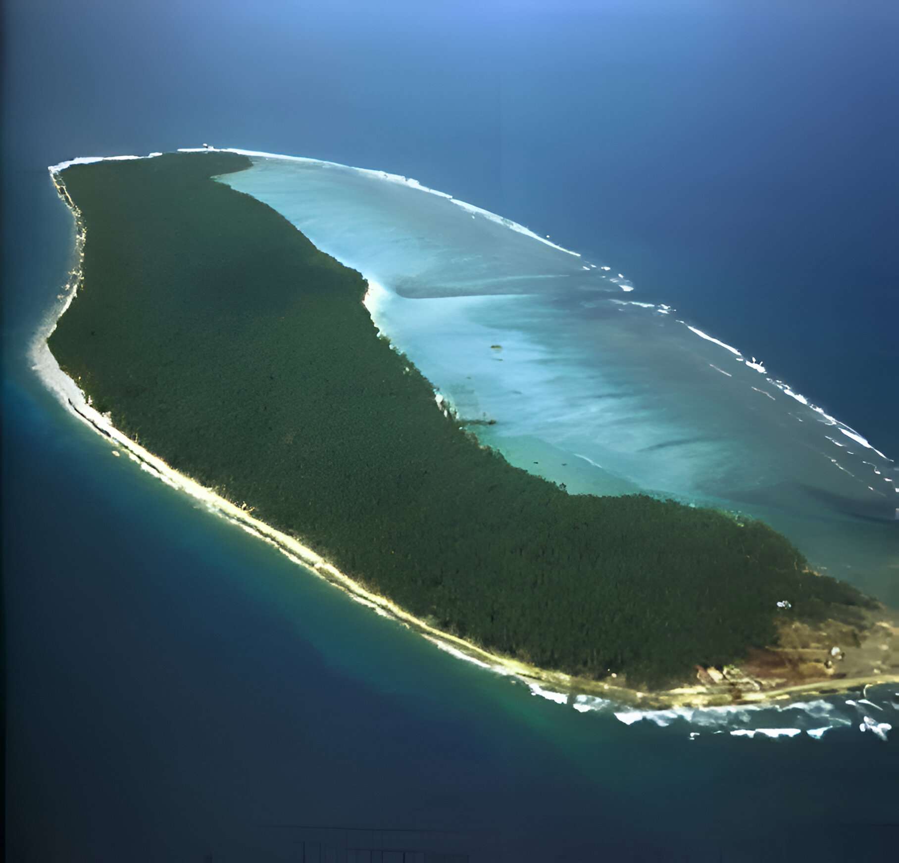 1740666836 pixelcut export (5)