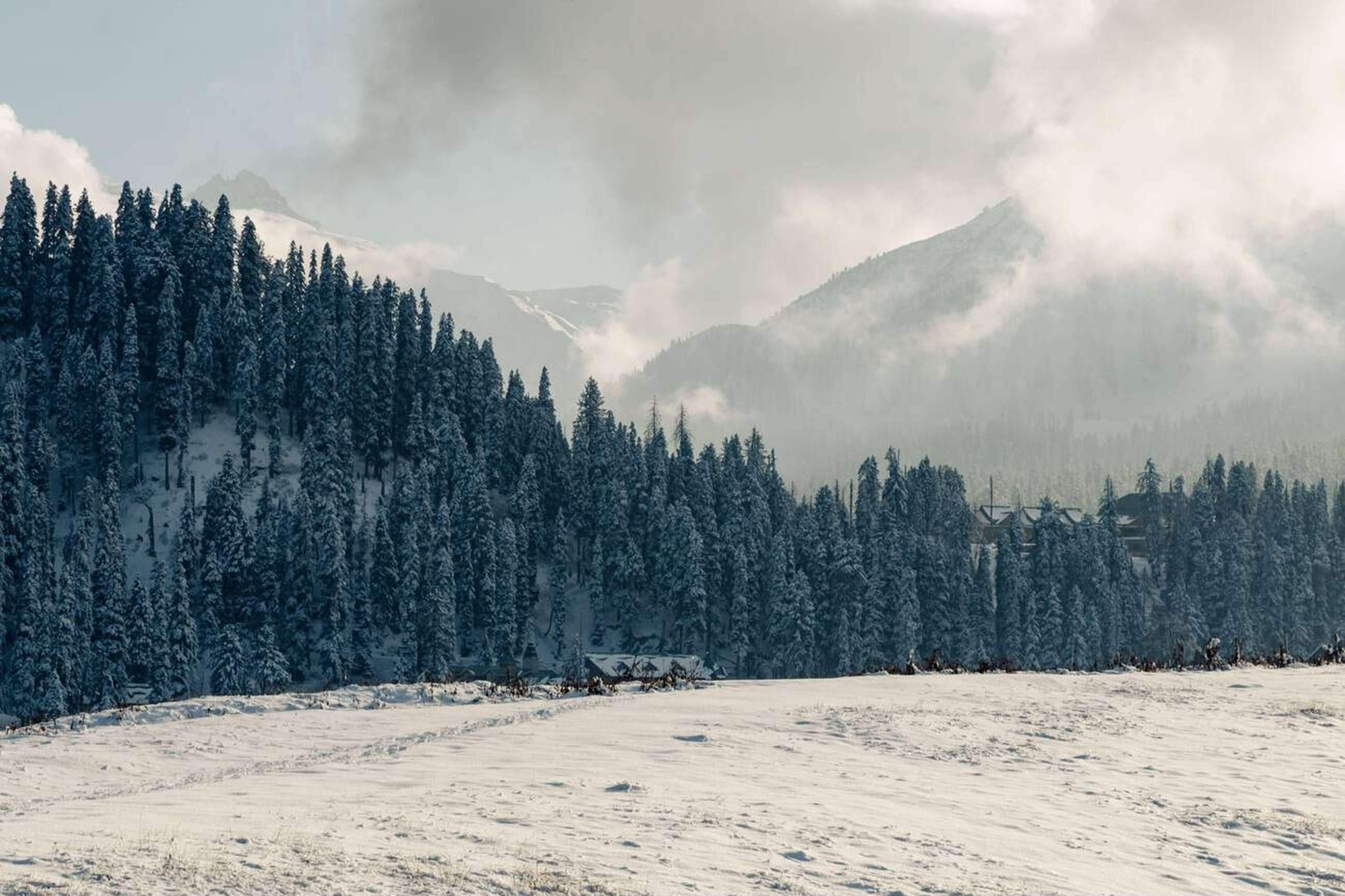 Tips to Visit Gulmarg in December 