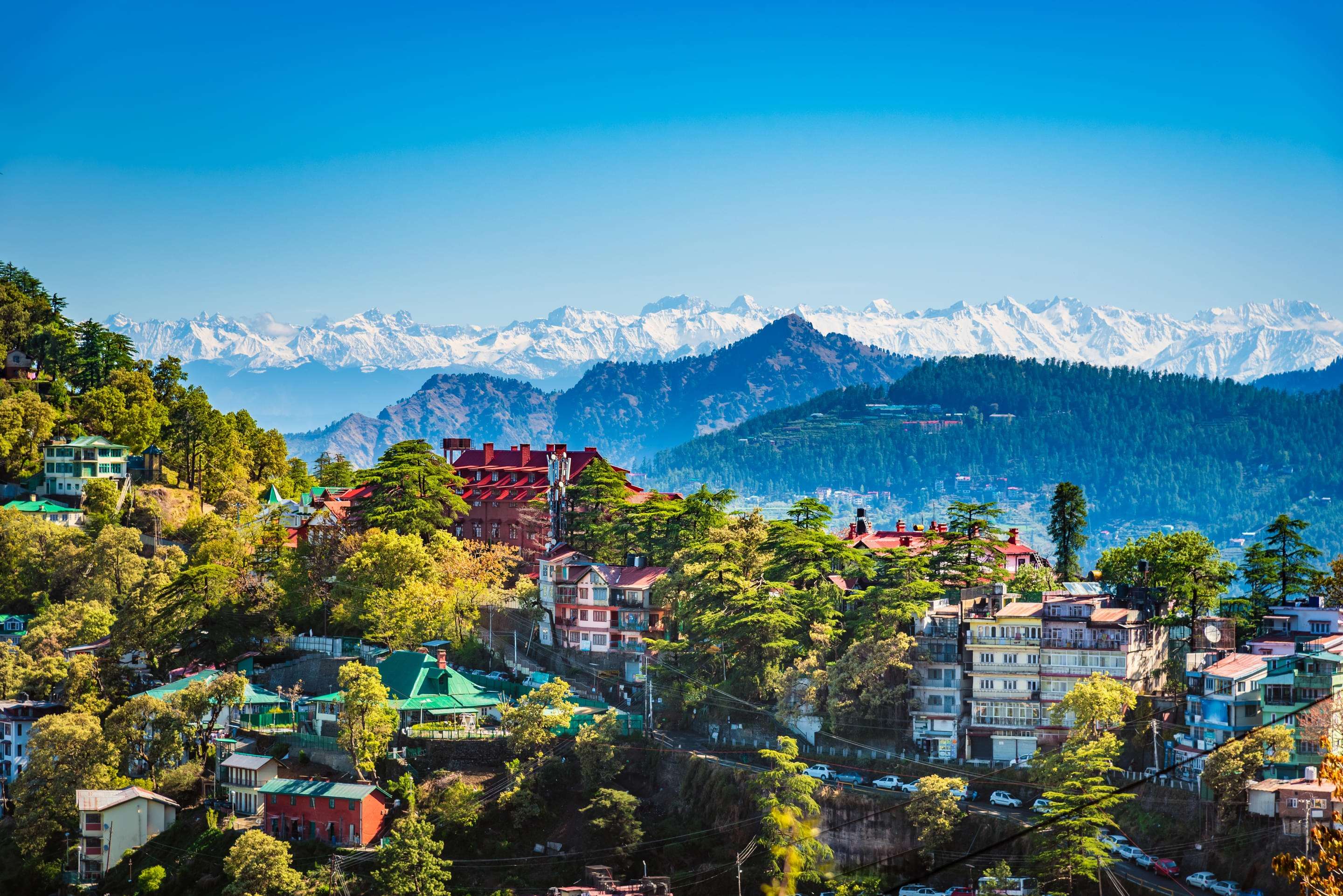 Shimla  