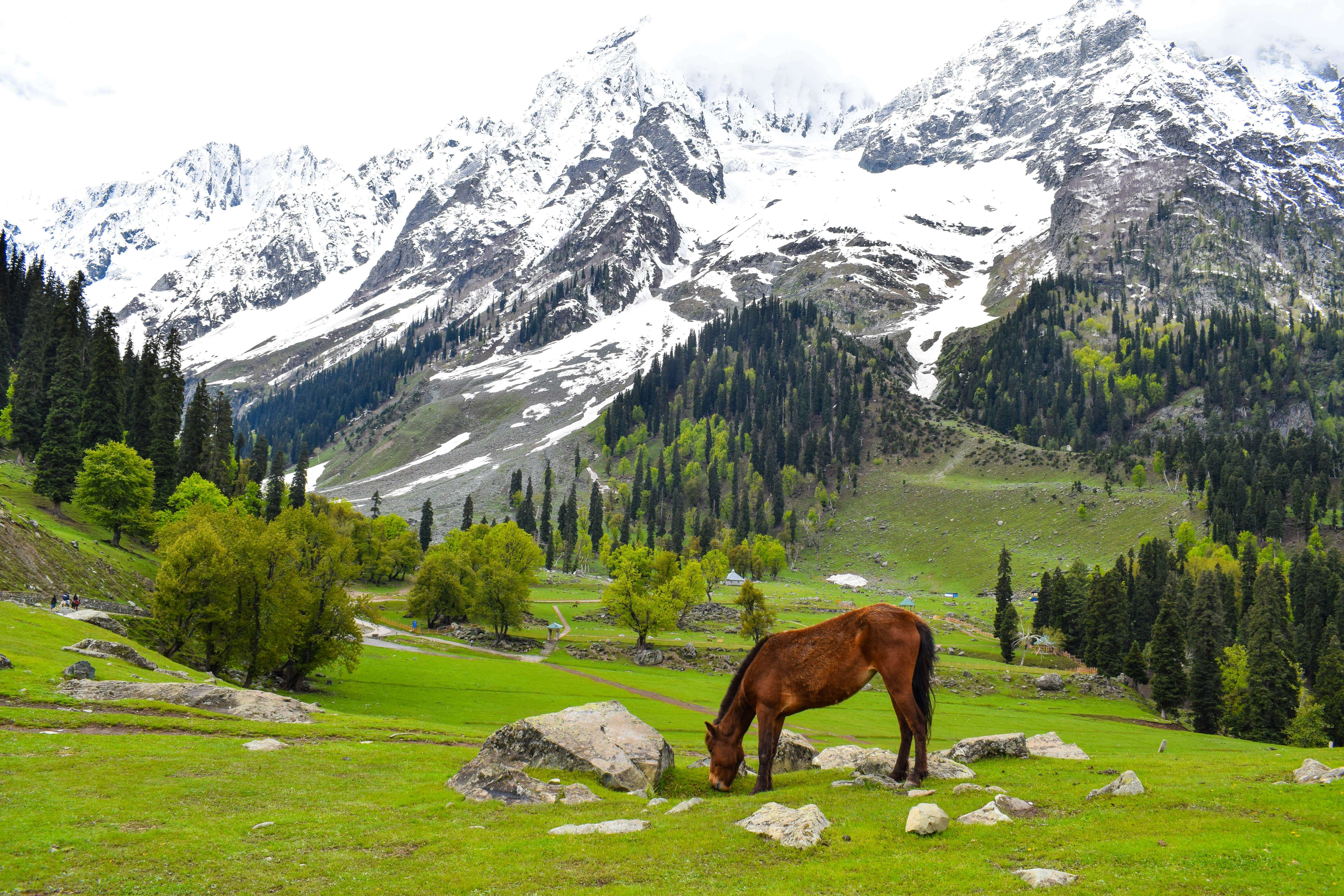 Sonmarg  