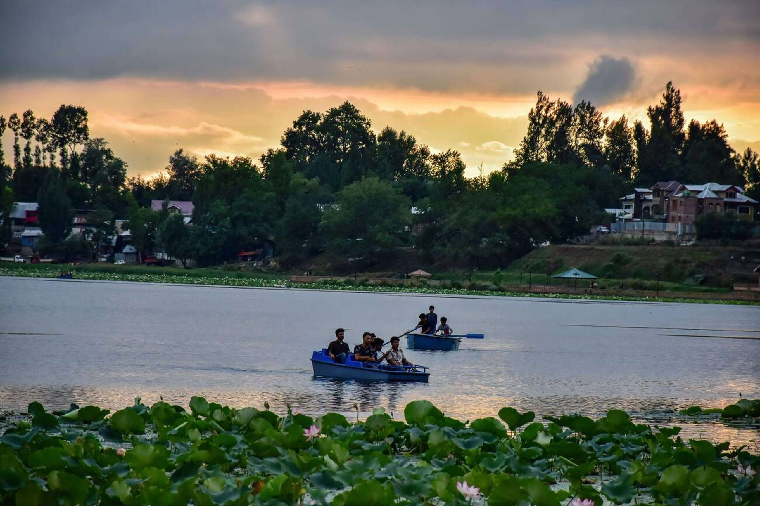 Go Birdwatching At Manasbal Lake