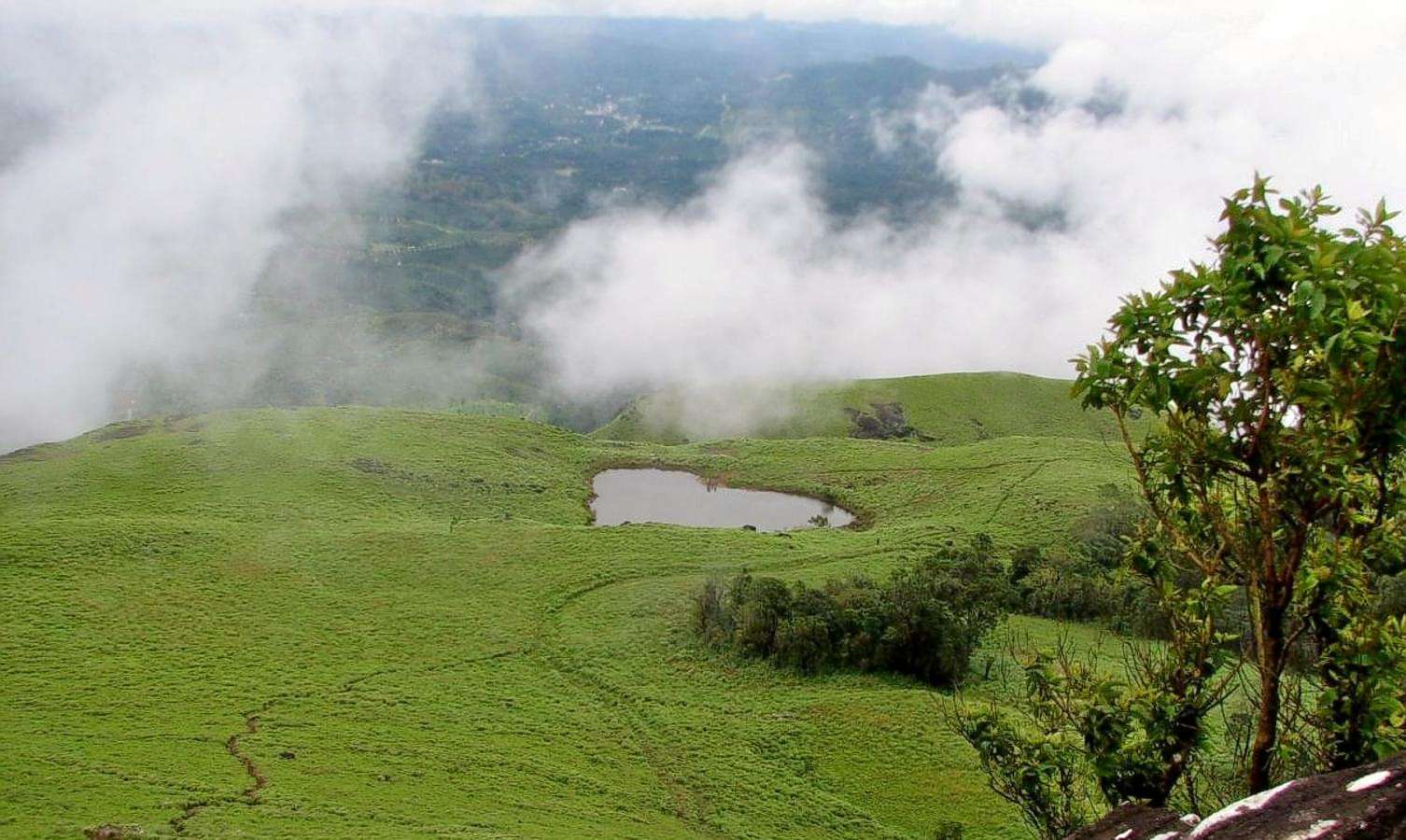 Wayanad