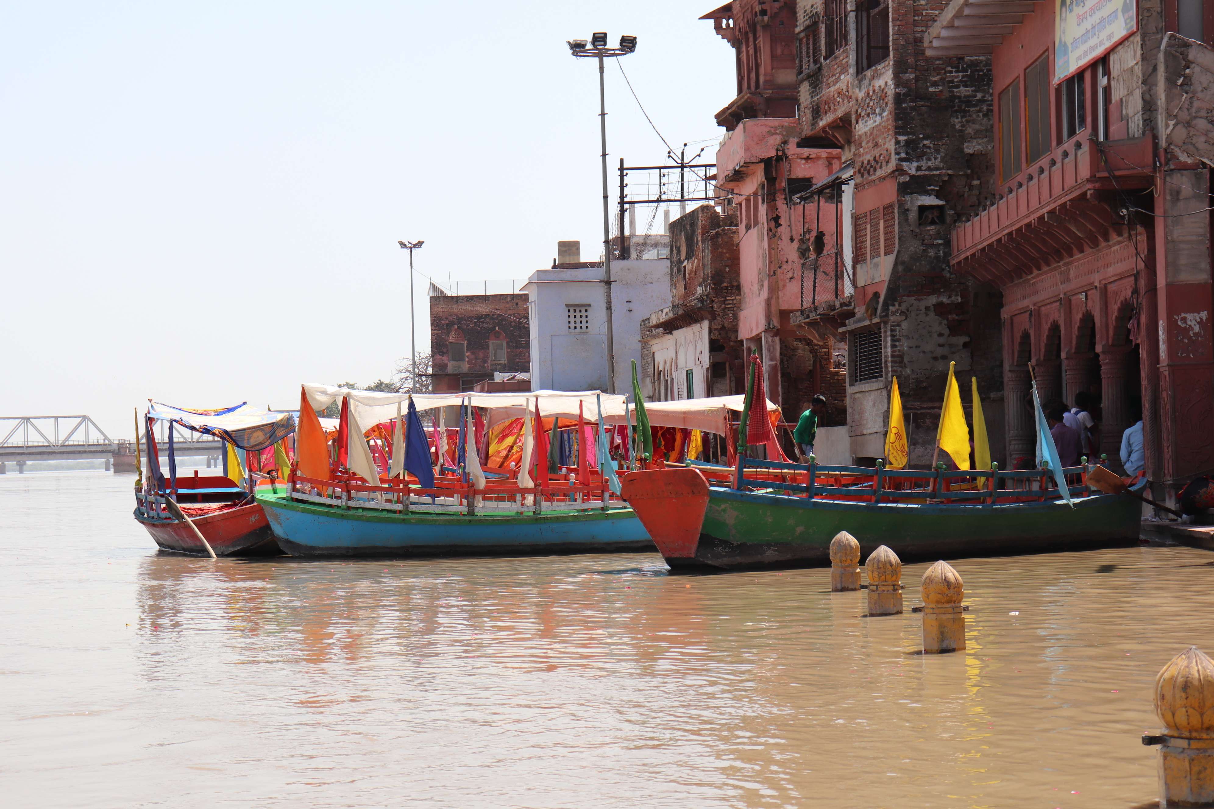 1742457402 shutterstock 1224647827