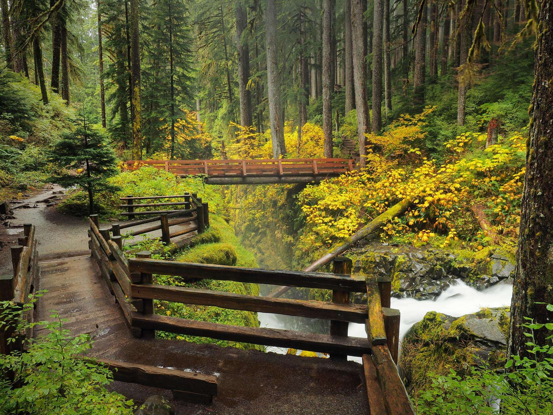 Olympic National Park (Washington)