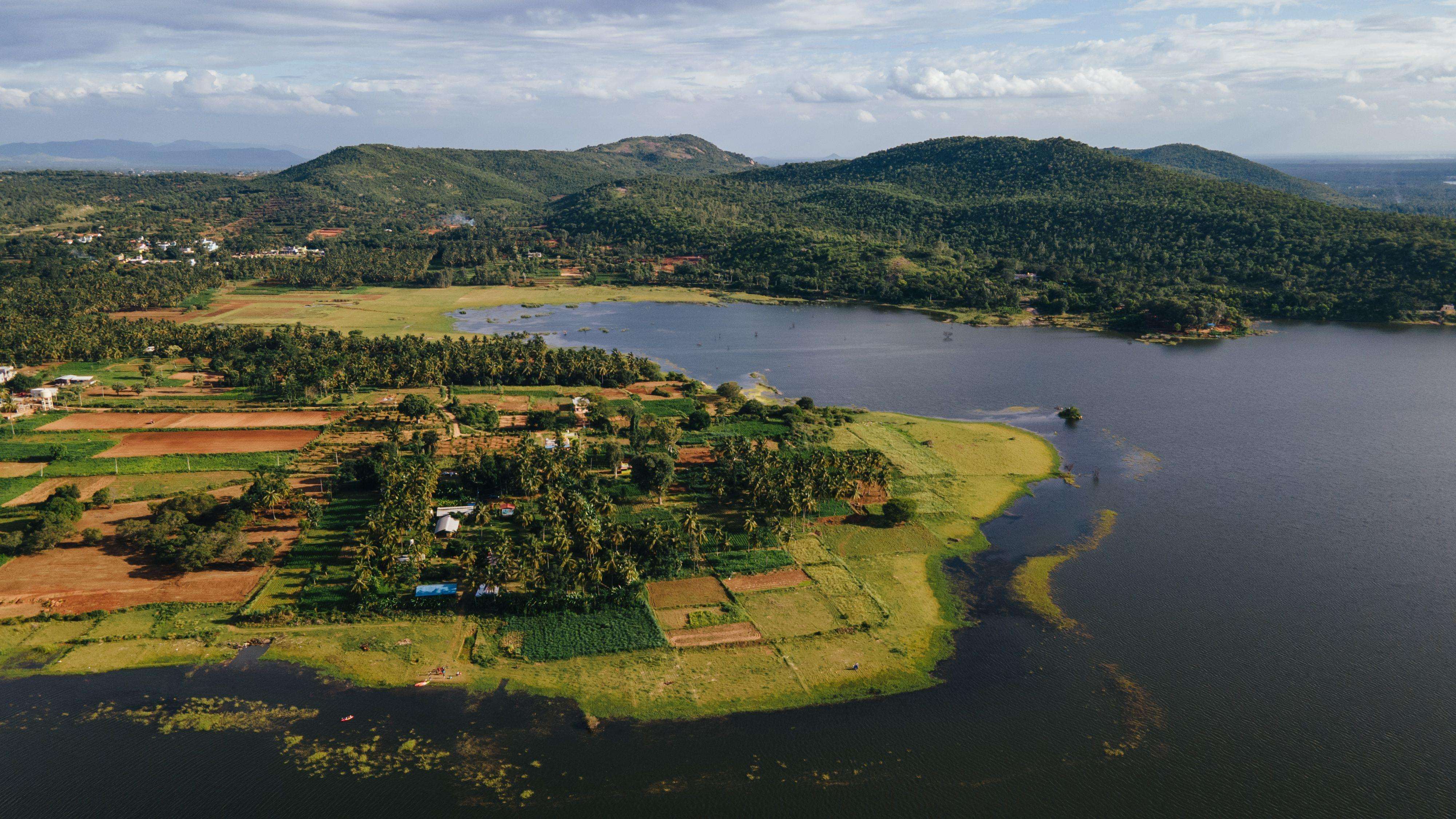 Q Mango Forest Adventure Camp