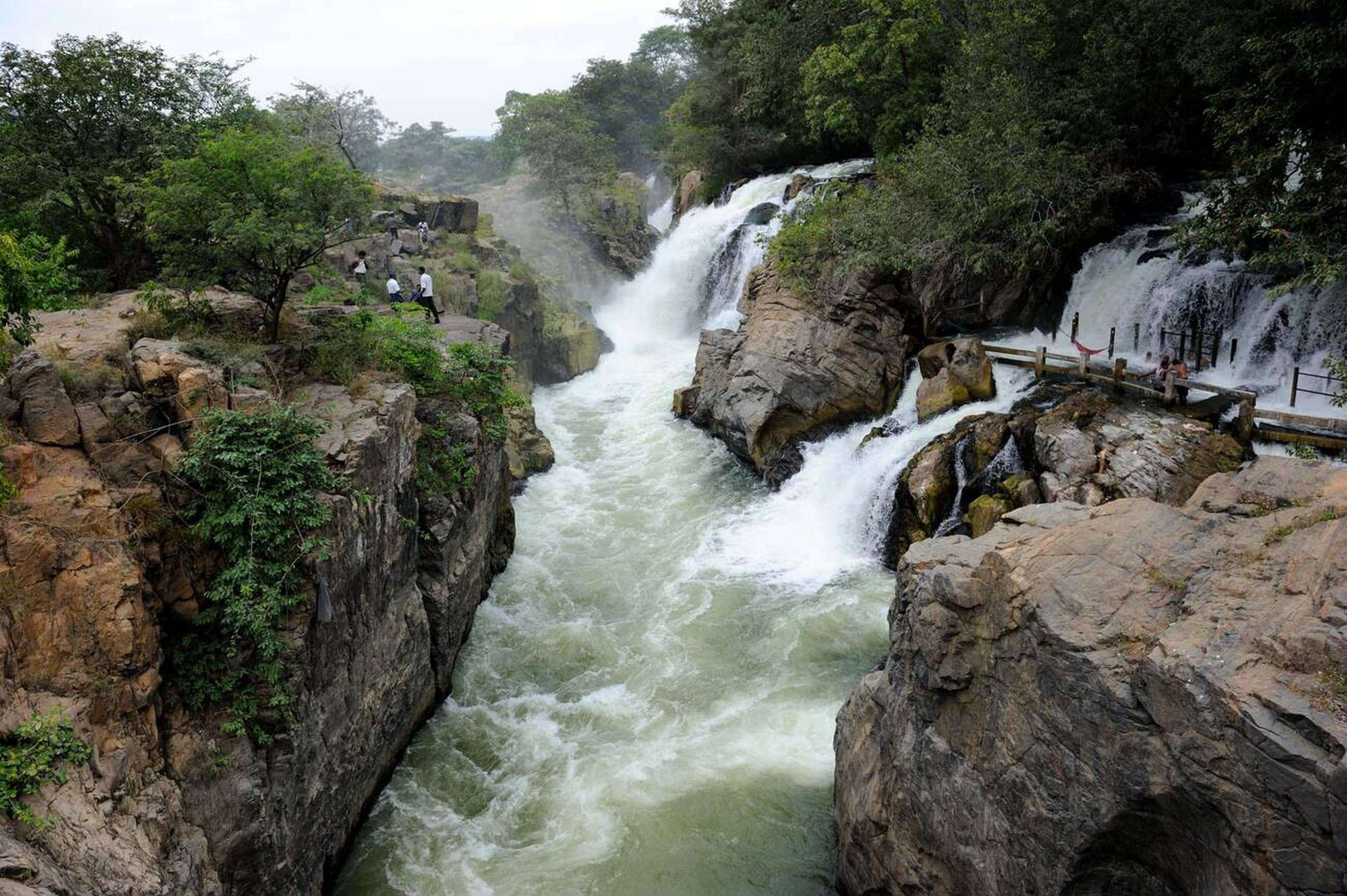 Hogenakkal Falls Day Trip