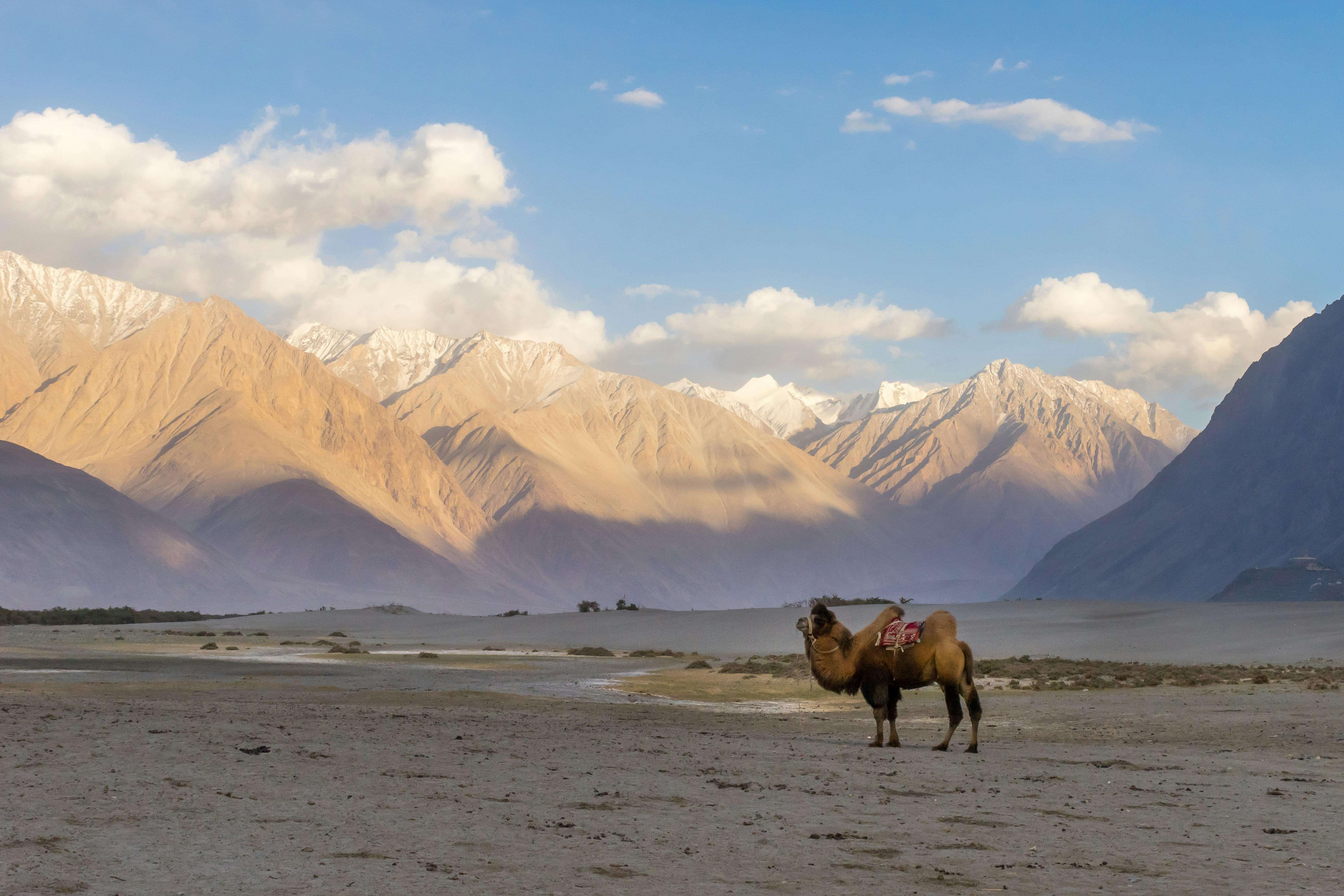Nubra Valley