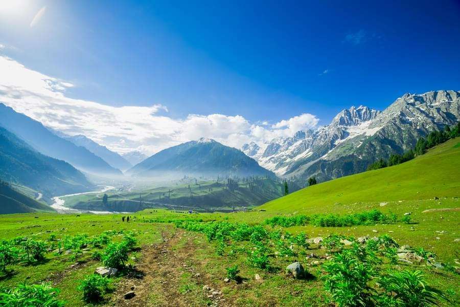 Srinagar To Amarnath: Your Holy Journey Begins