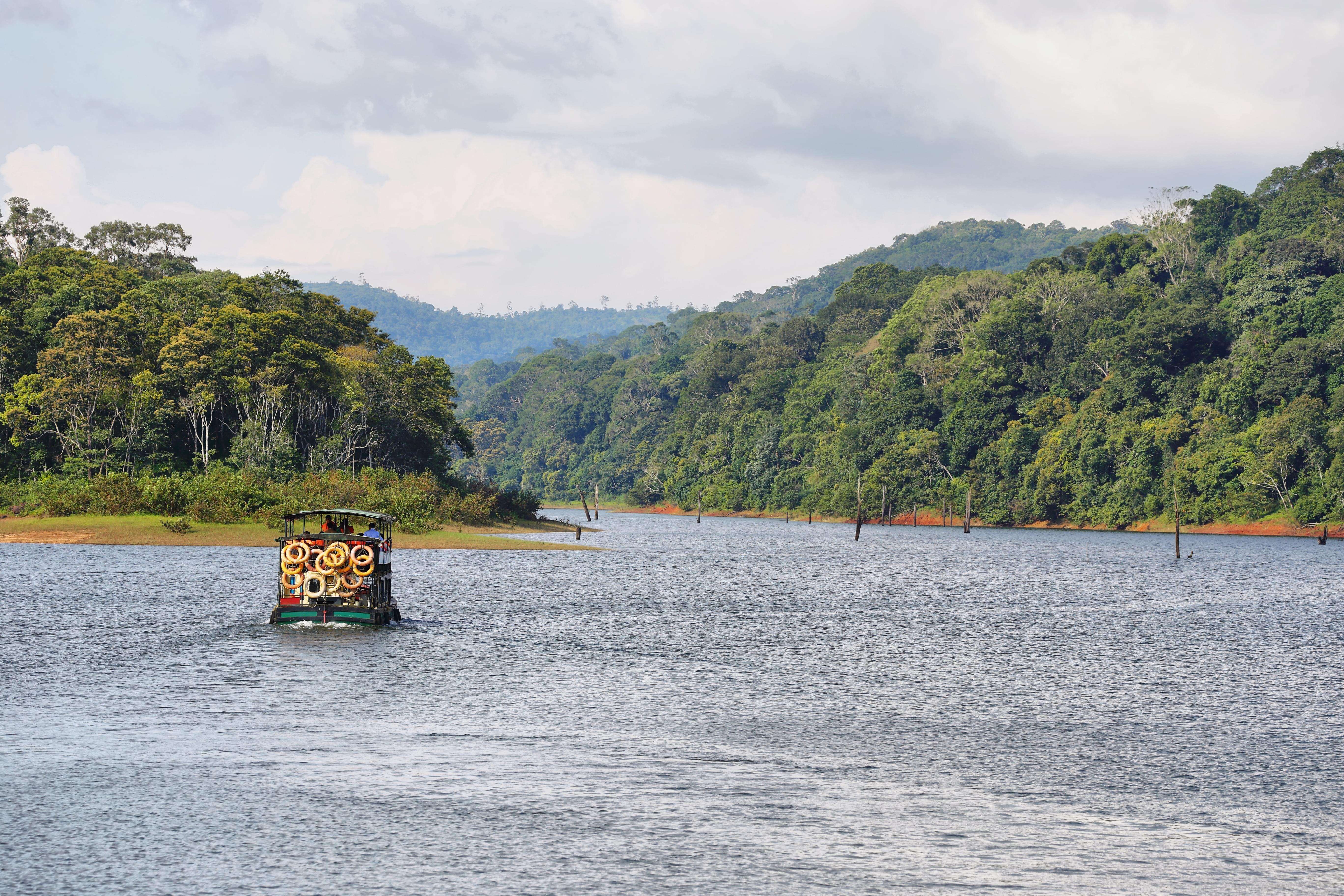 Periyar National Park Boat Safari