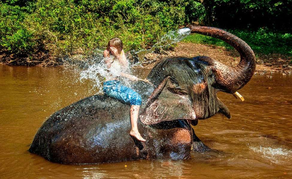 Elephant Bath and Shower at Elephant Junction