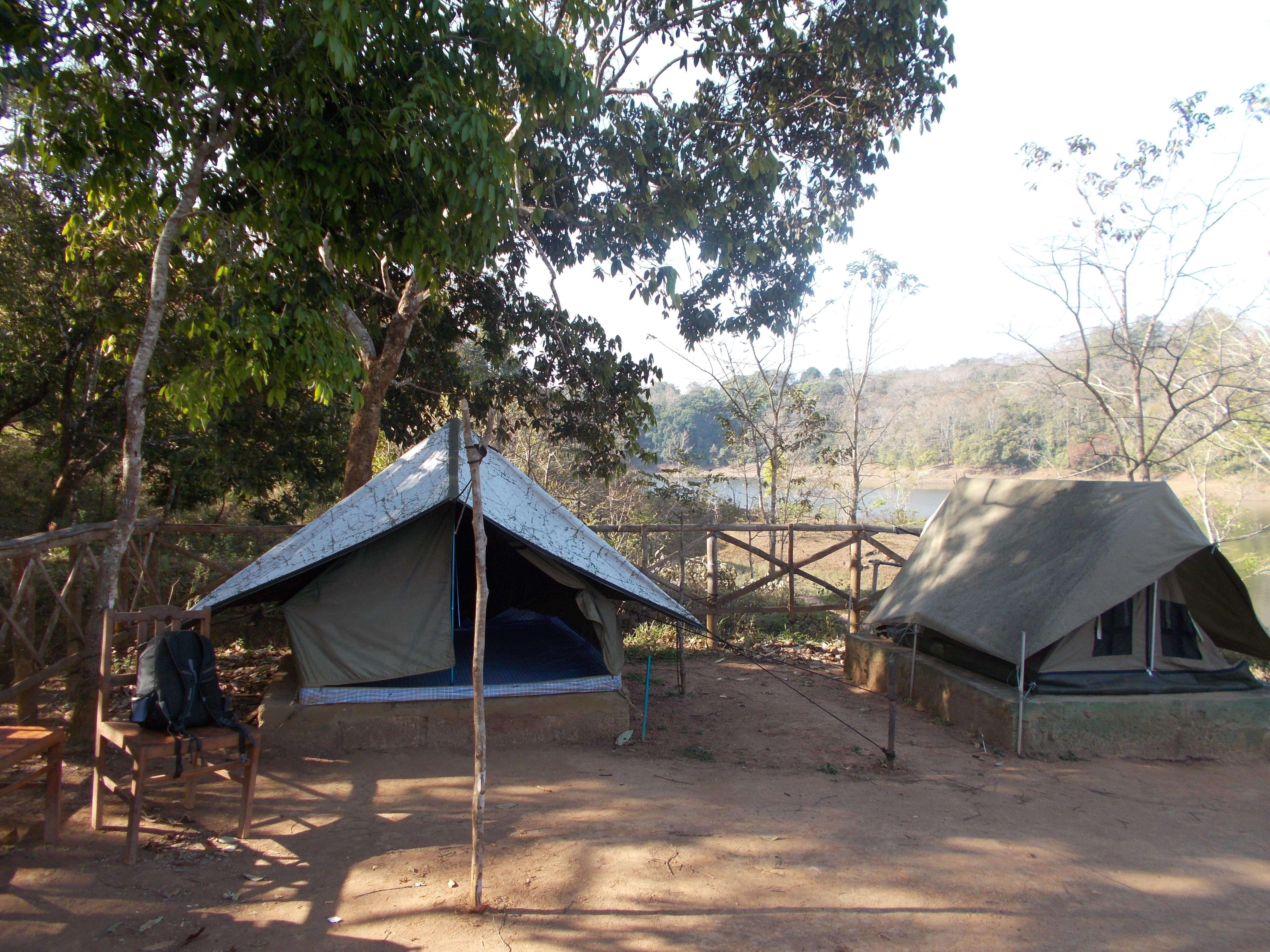 Forest Camping at Periyar Tiger Reserve