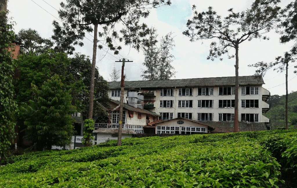 Take a Tour of Tea Factories