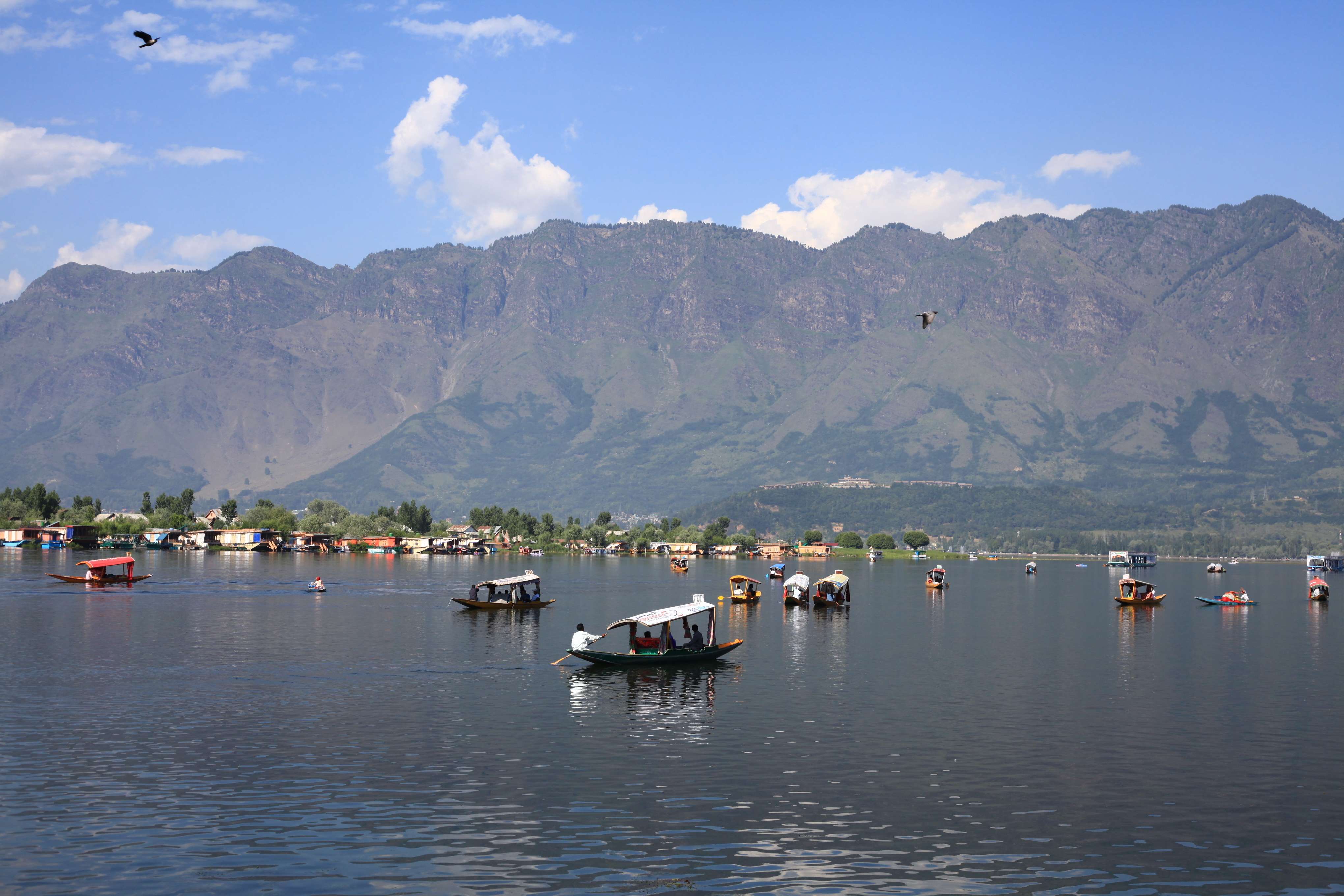 Temperature of Srinagar in May