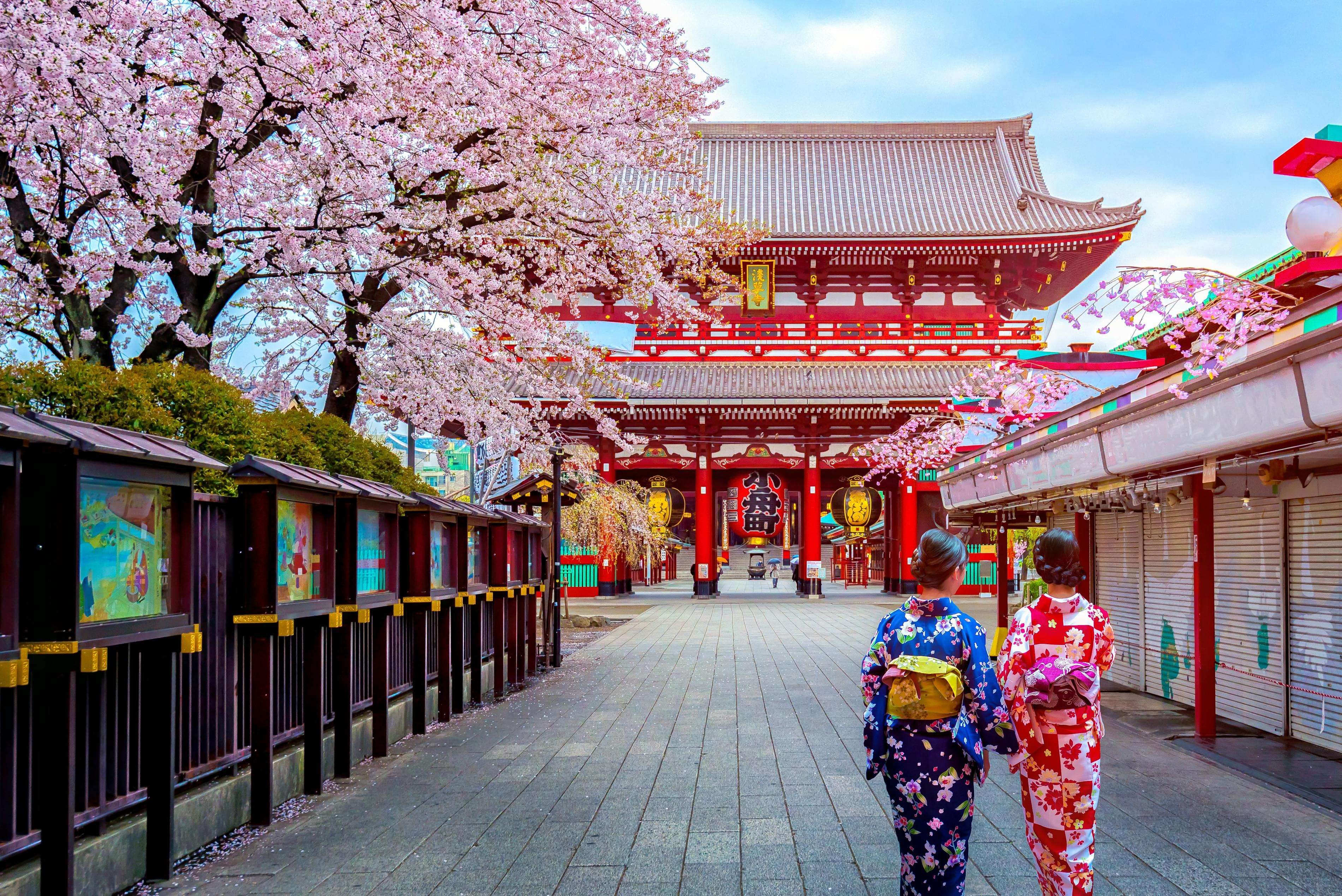 How Is It An Important Part Of Culture?