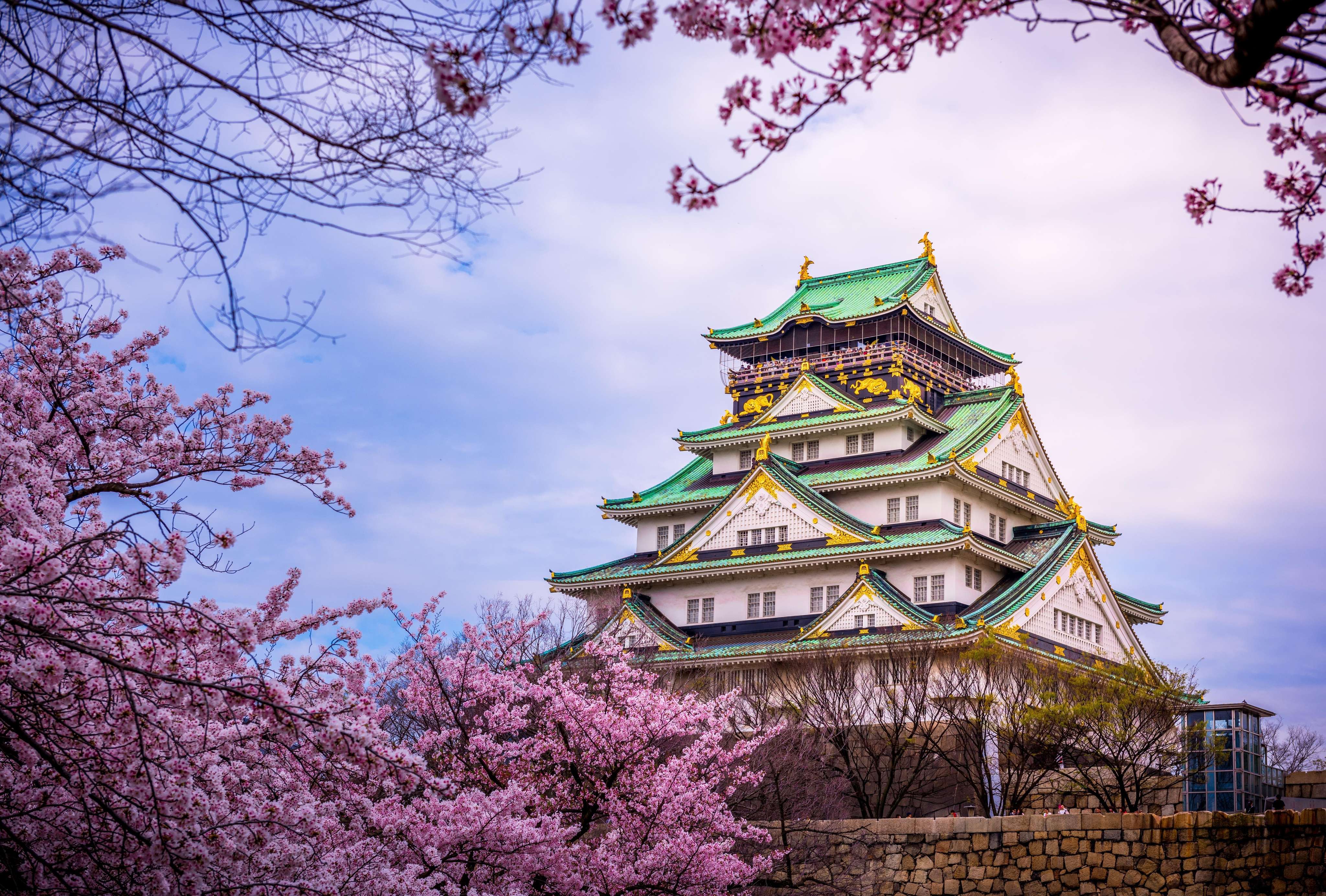 Things To Do In Spring In Japan