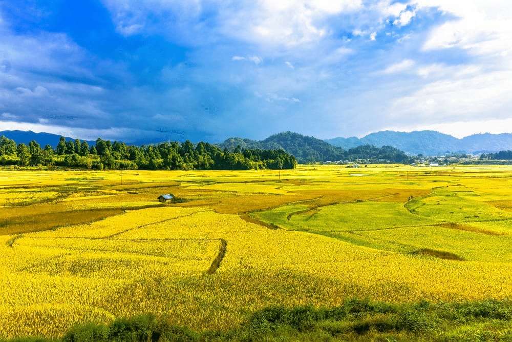 Ziro Valley, Arunachal Pradesh: Your Escape To Peace And Beauty