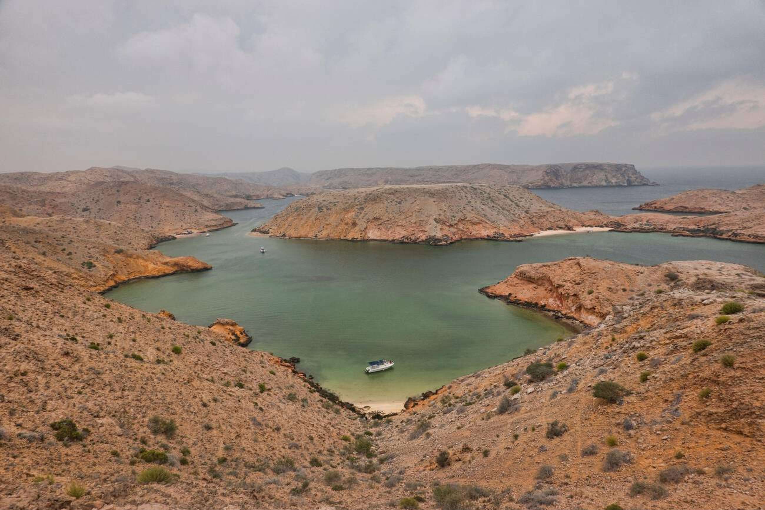 Day 3: Dolphin Watching Tour & Cruising 