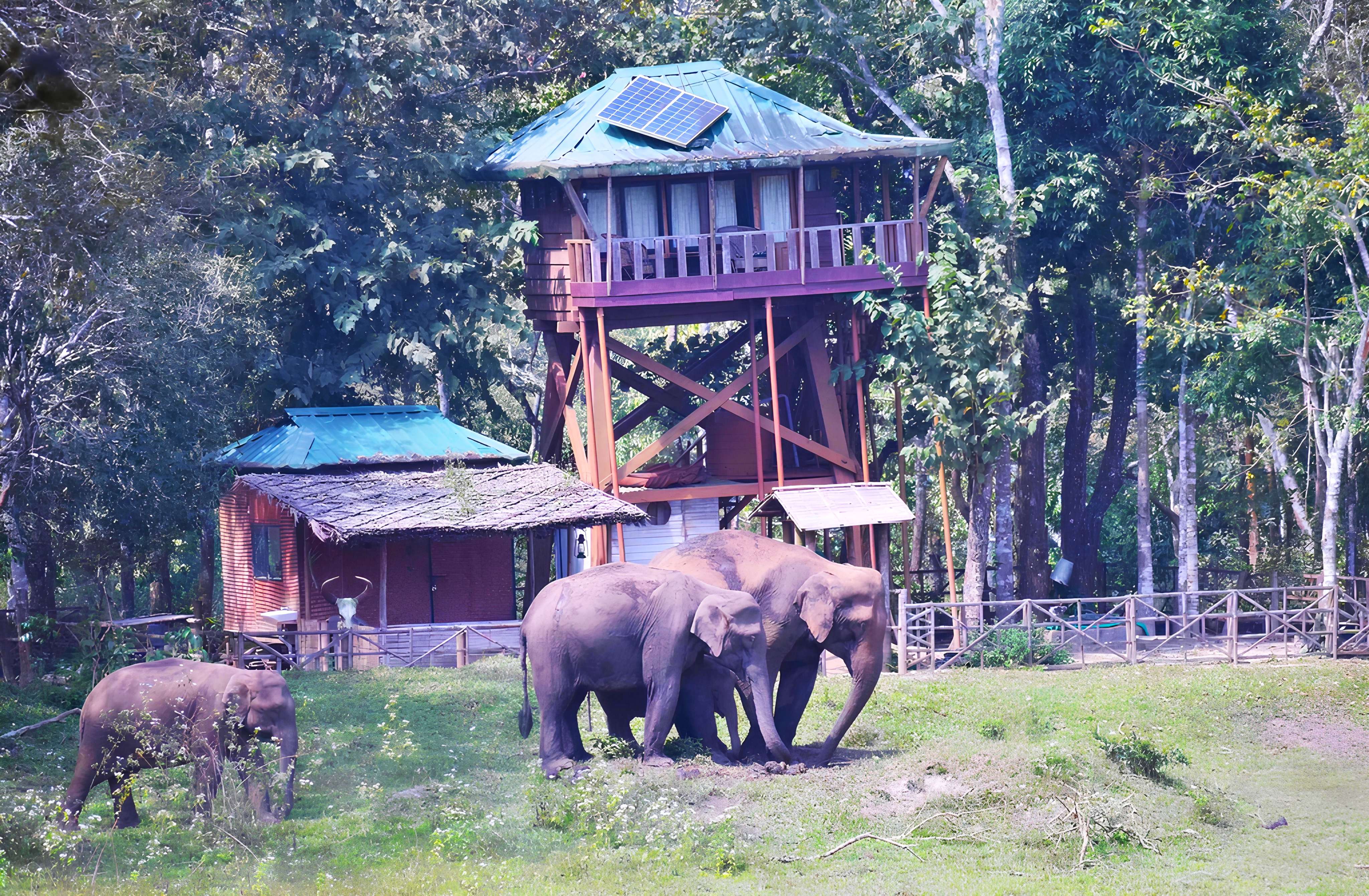 Watch Tower Stay Experience