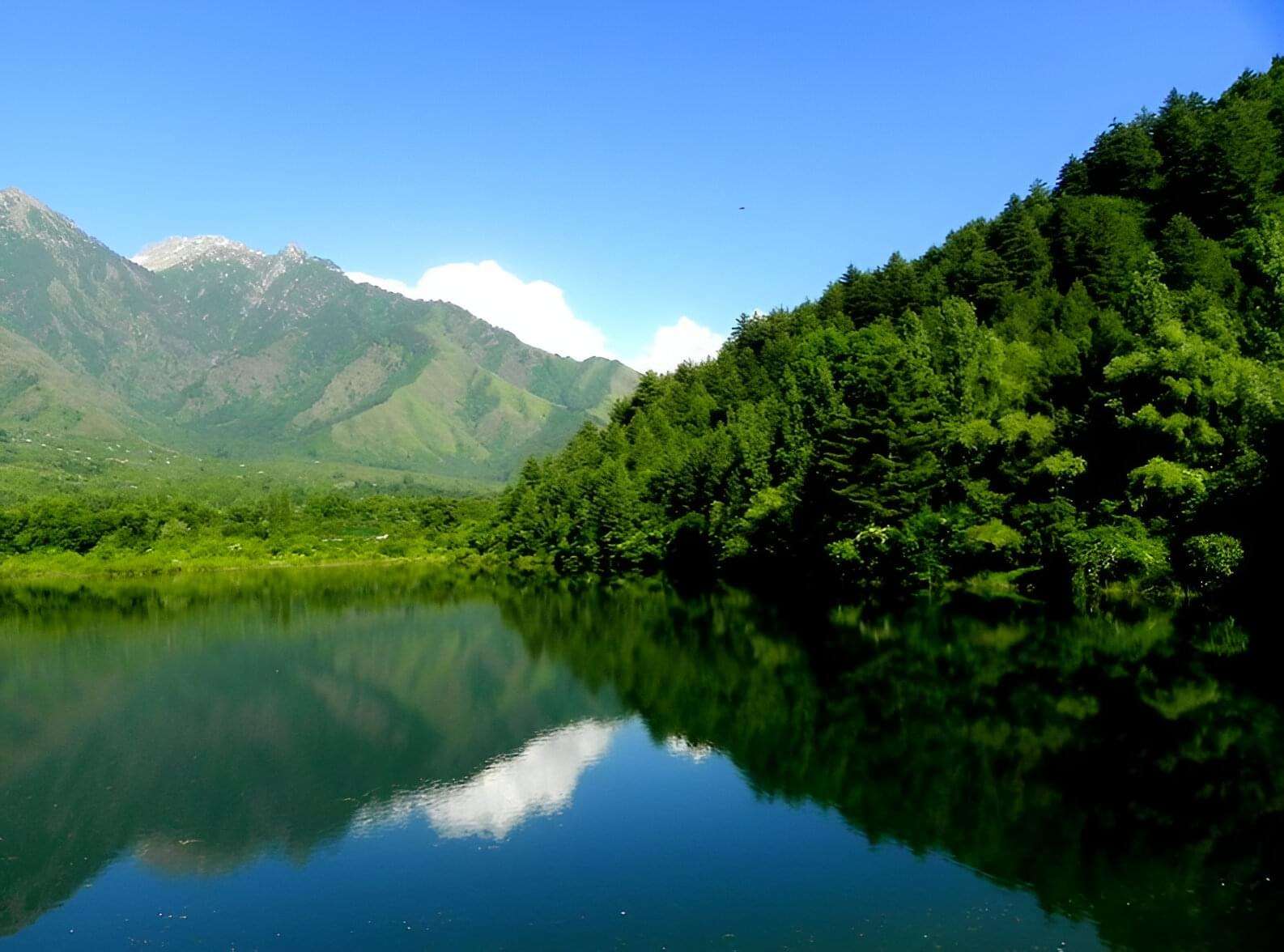 Spot wildlife at Dachigam National Park