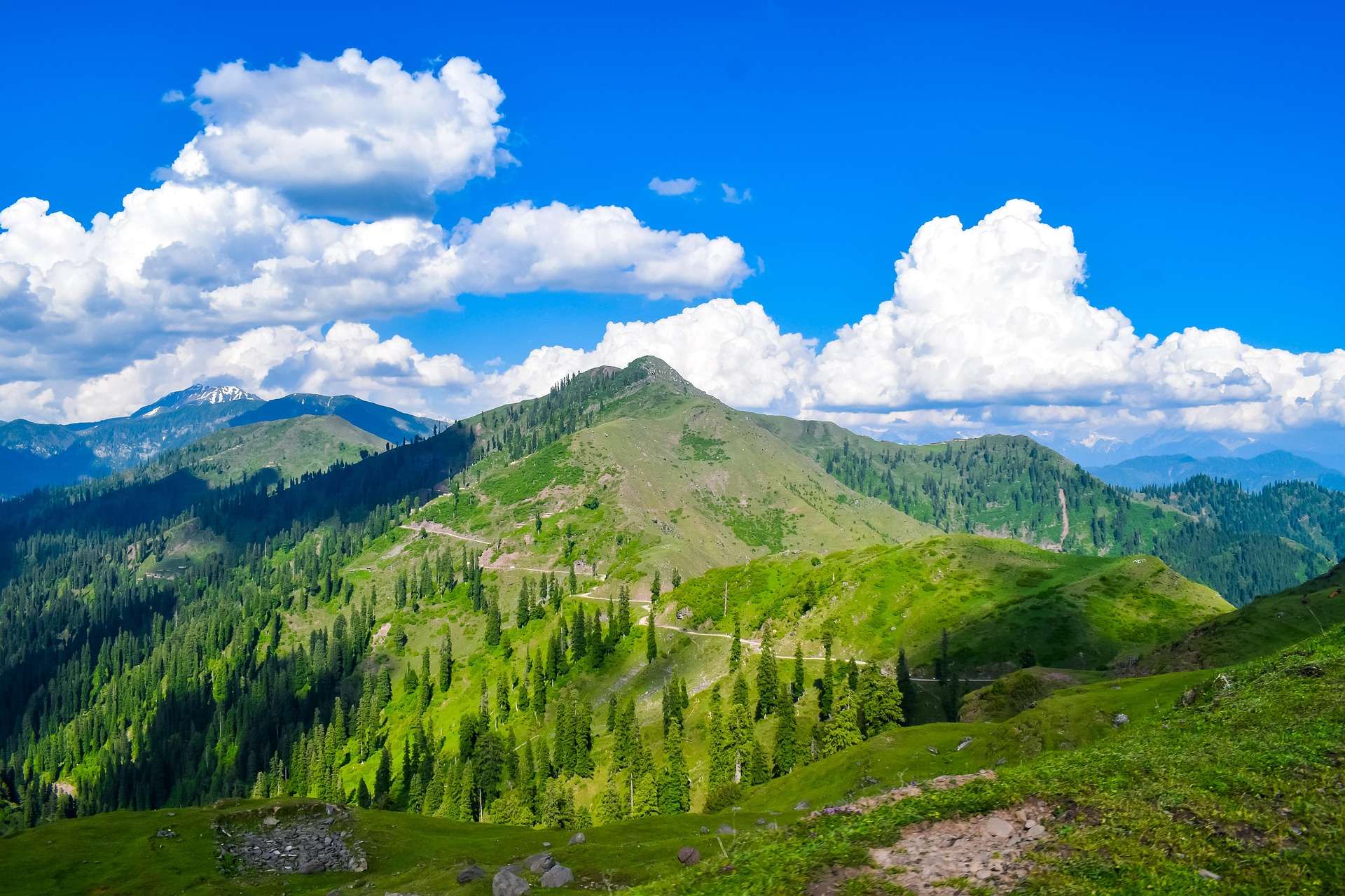 Kashmir in August | Weather, Places To Visit & Activities To Do!